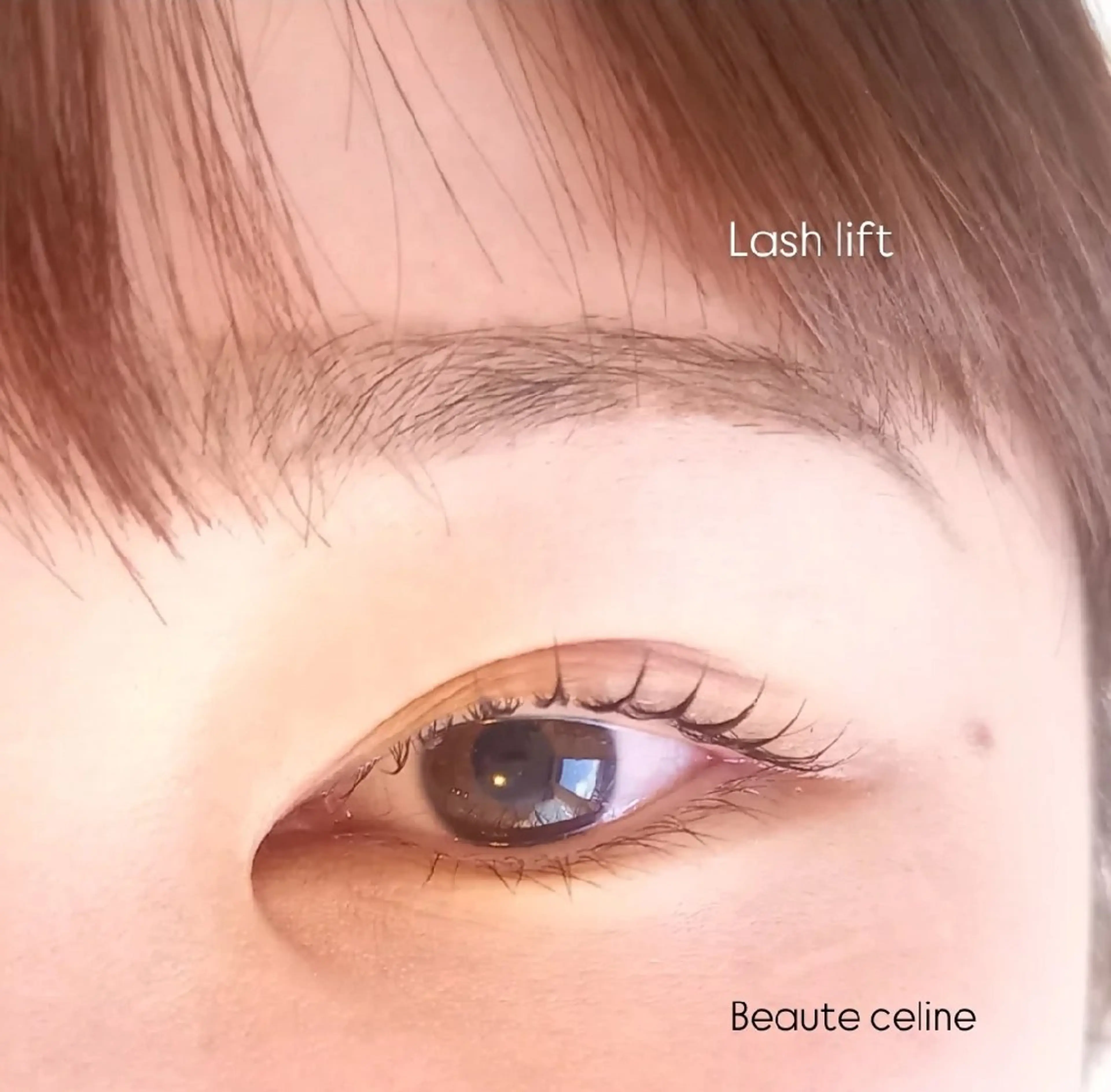 マツエク・マツパ マツパ beaute.celine所属・8時～✨beaute Celine🌛🌹のマツエク・マツパデザイン