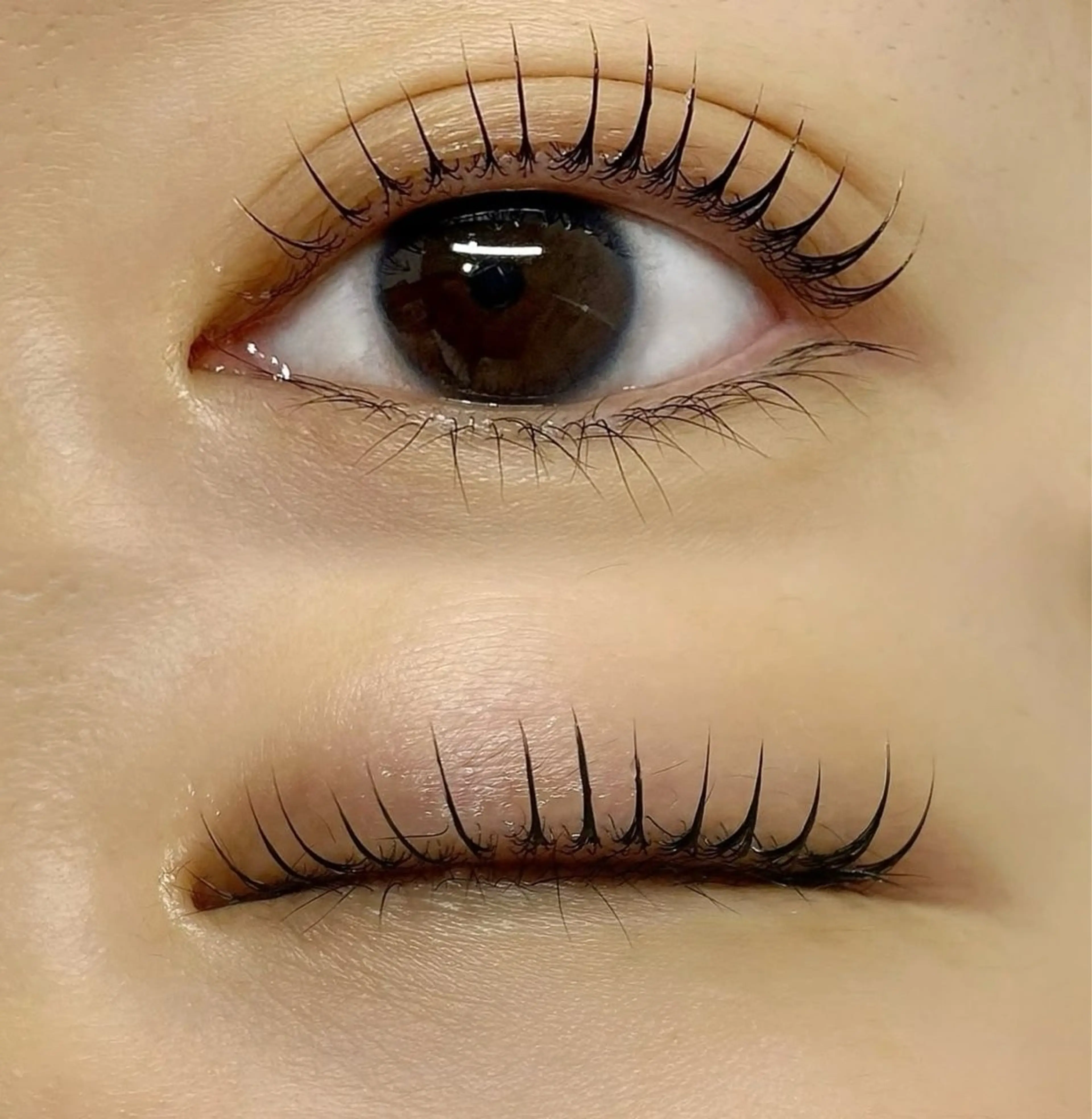 マツエク・マツパ 束感まつ毛 パリジェンヌラッシュリフト マツパ パリジェンヌ マツエク専門店　玲子のマツエク・マツパデザイン