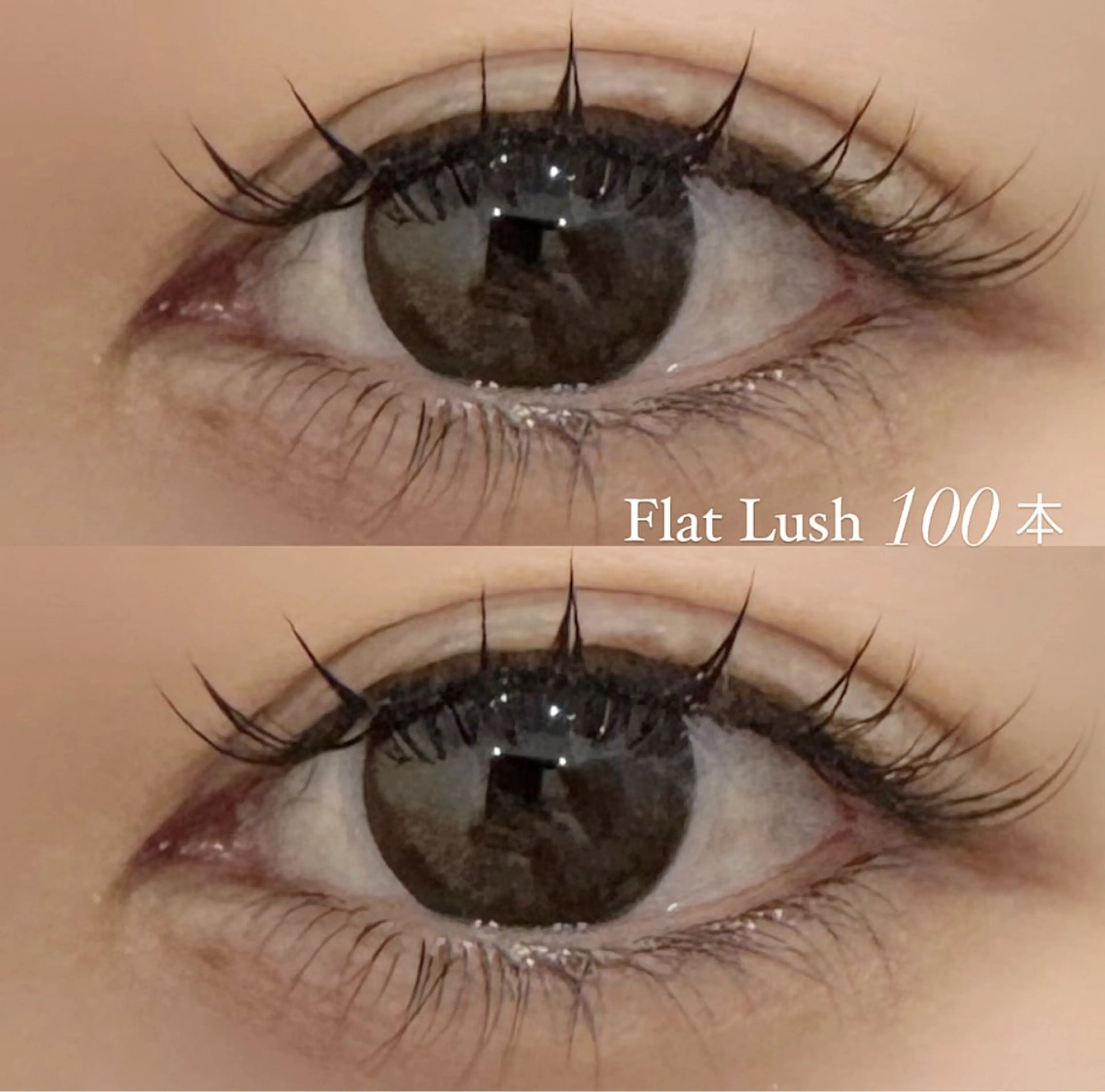 マツエク・マツパ Cカール ナチュラル moana karinの眉毛・アイブロウイメージ