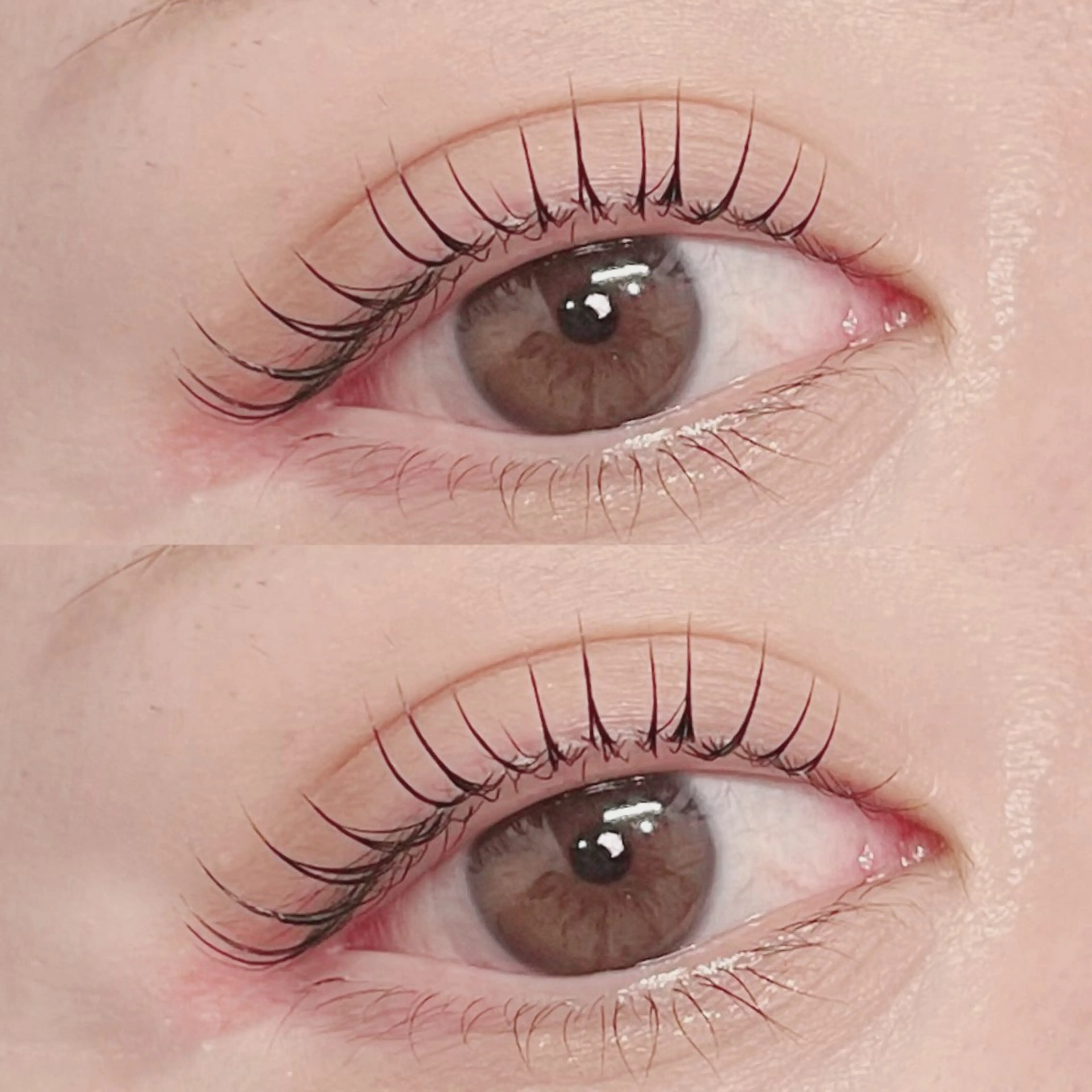 マツエク・マツパ 、 、のマツエク・マツパデザイン