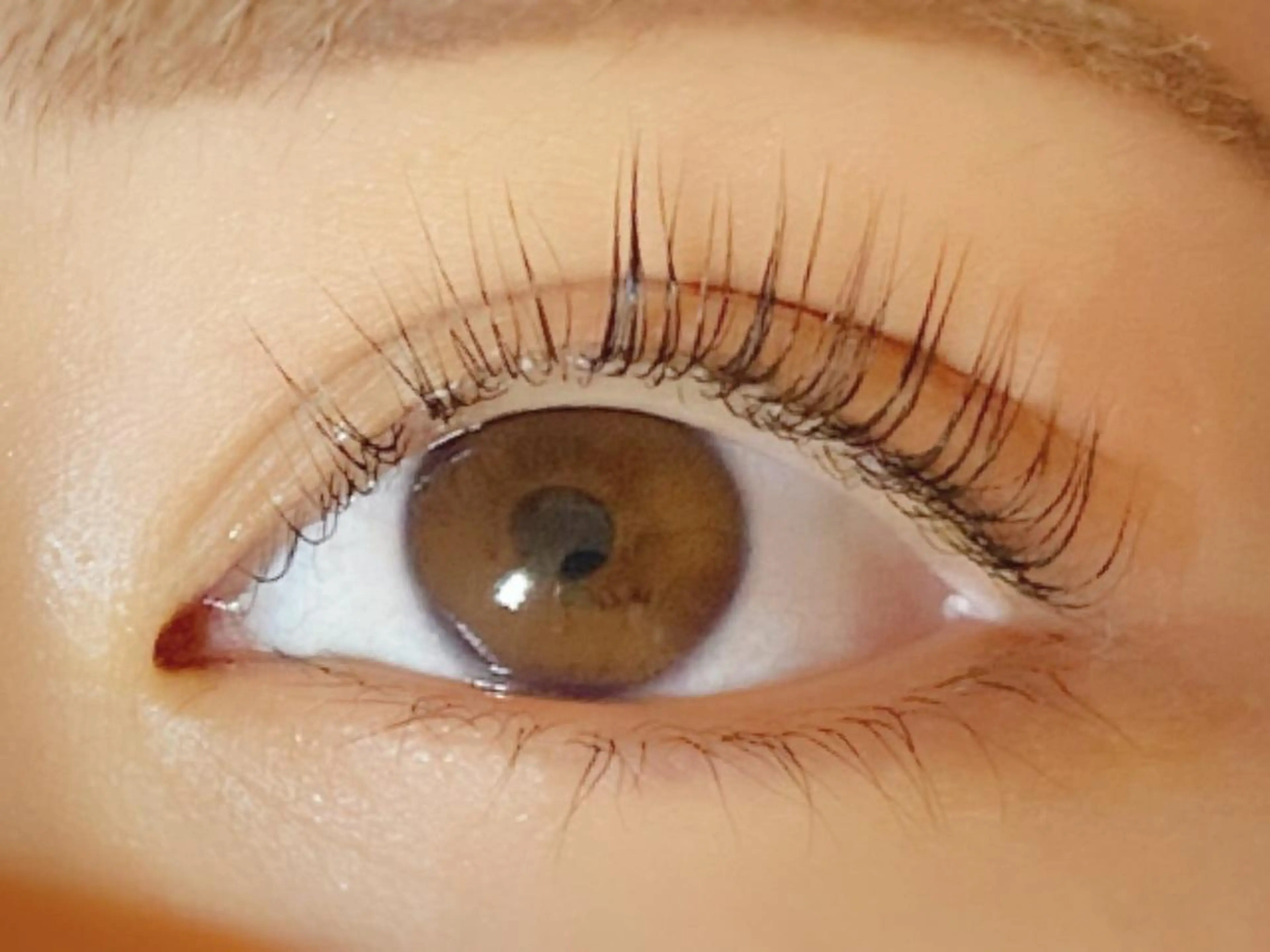 マツエク・マツパ まつげエクステ専門店RUBIA伏見桃山店所属・RUBIA ルビアの眉毛・アイブロウイメージ