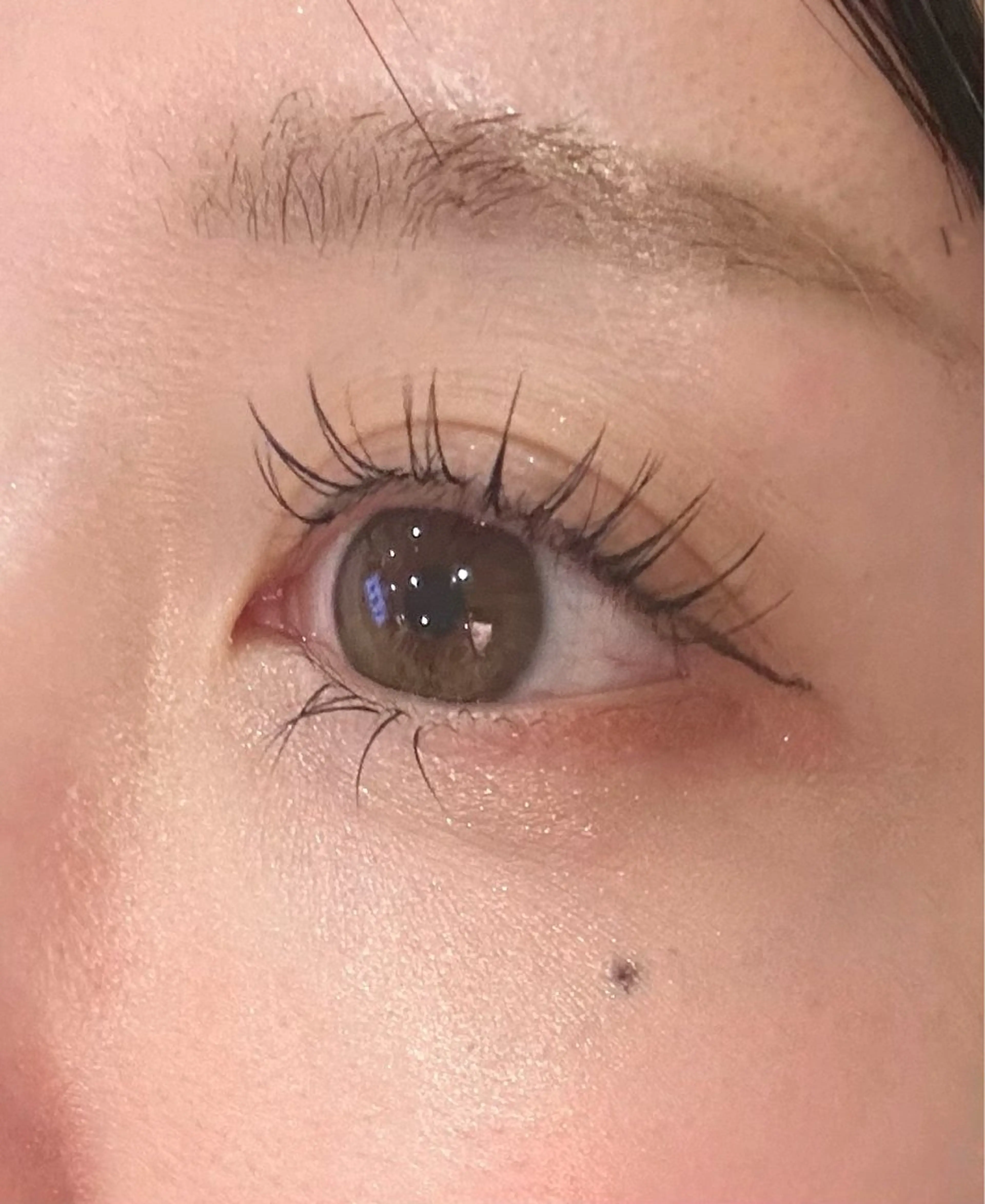 アイシャンプー、トリートメント付き🌈マツエクつけ放題(100〜120本まで)の写真