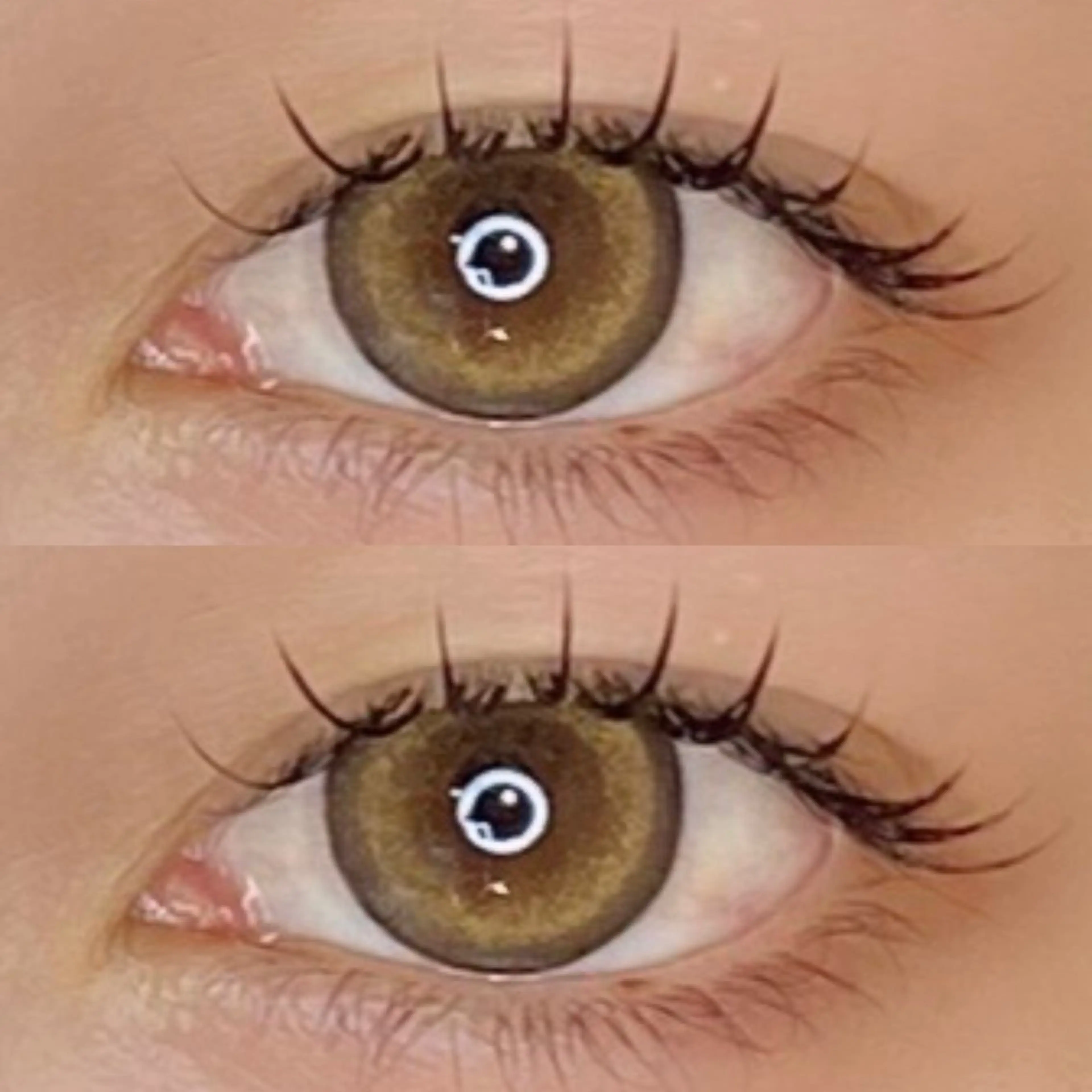 最高級フラットラッシュ 120本の写真