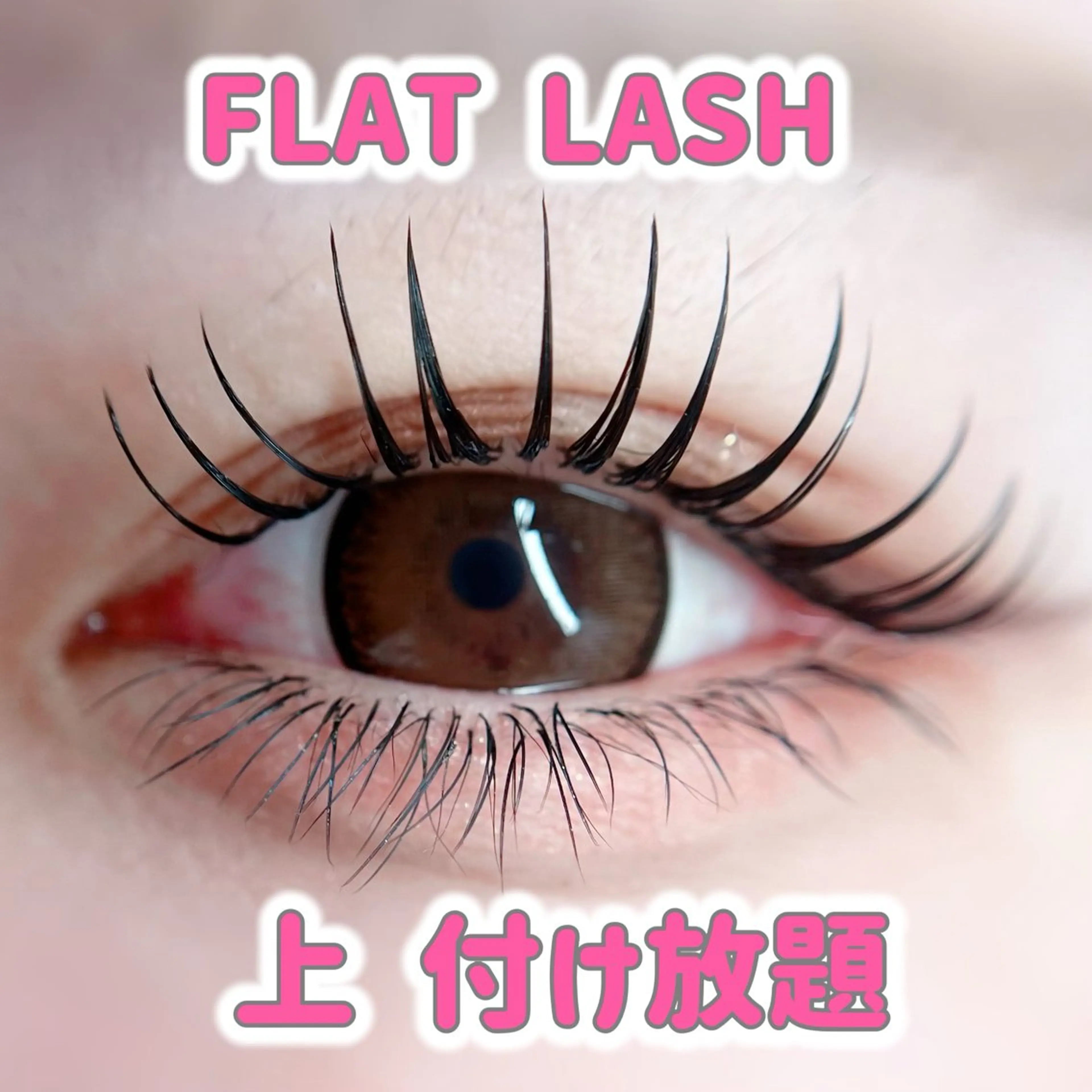 ✩ FLAT LASH 上つけ放題✩ オフ無料/美容液コーティング付きの写真