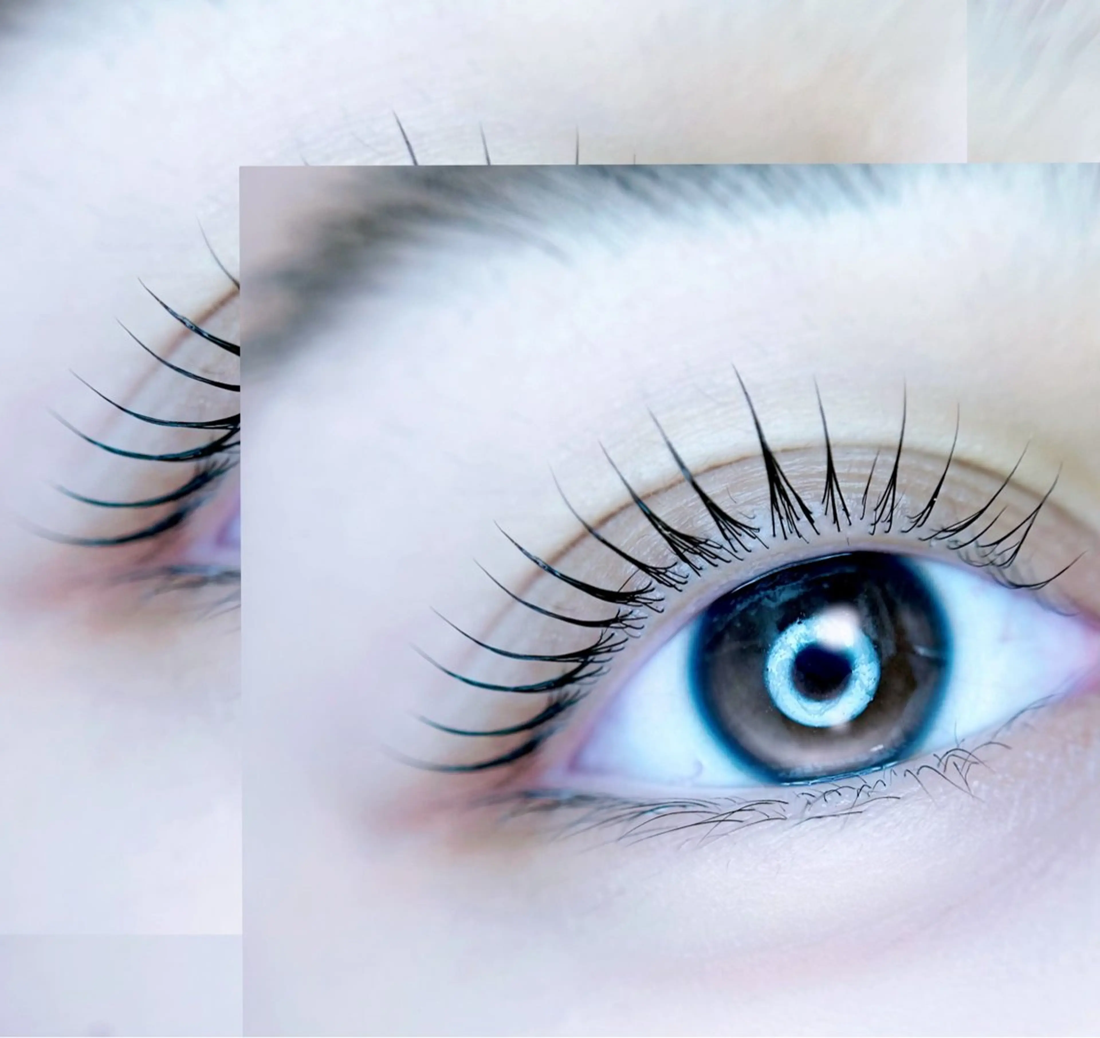 マツエク・マツパ eyelist. mizuki🐈‍⬛の眉毛・アイブロウイメージ