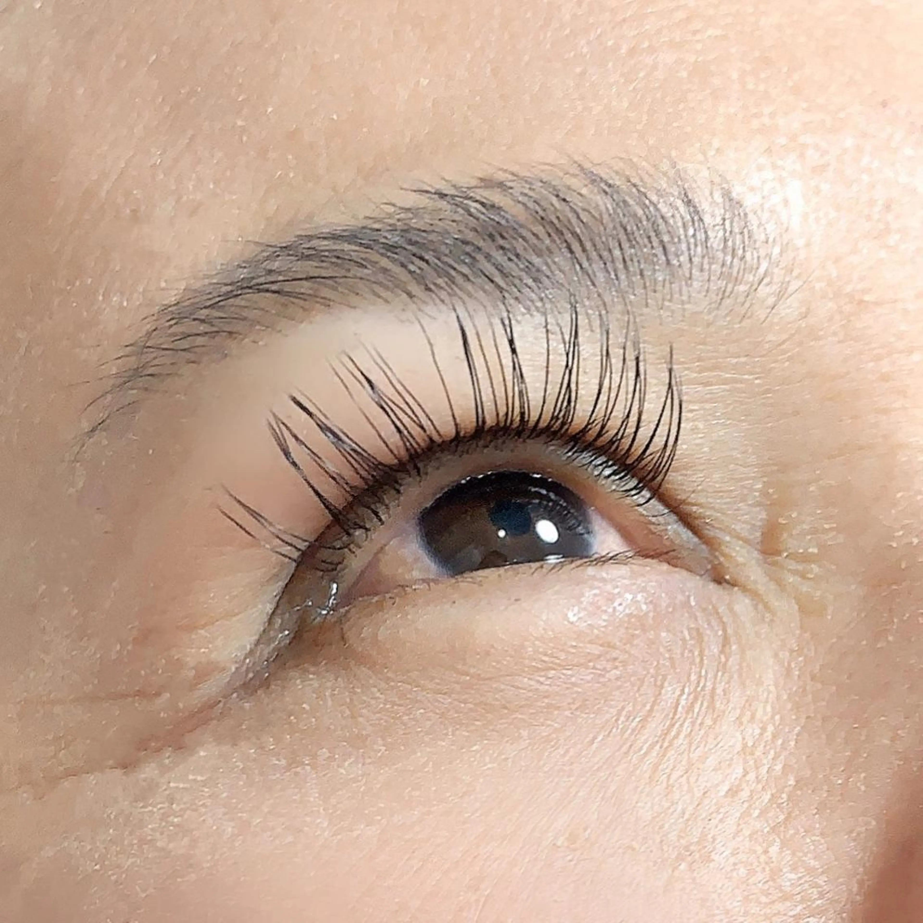 オフ込フラットラッシュ100本の写真