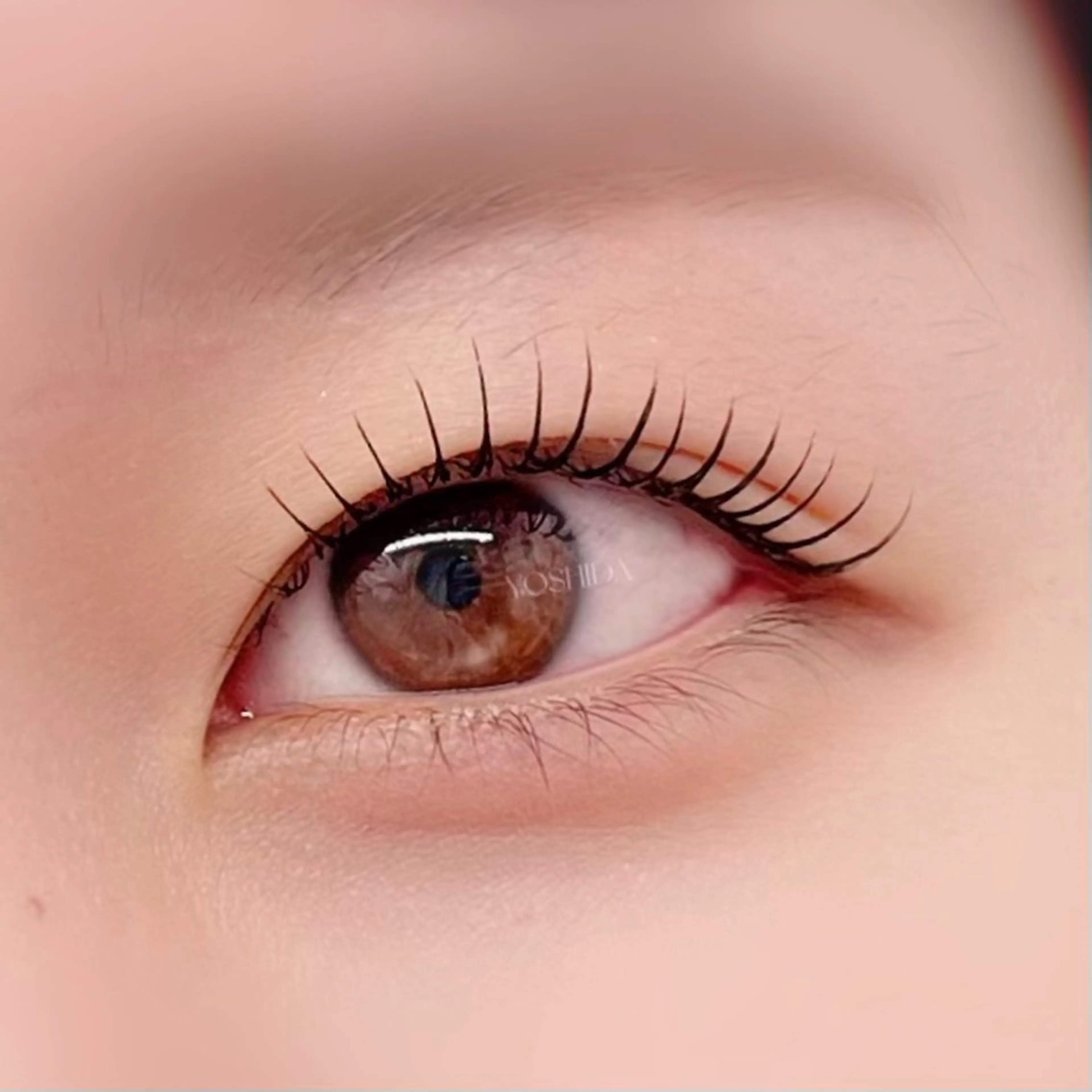 【minimo限定🌈ケラチンラッシュリフト💠】仕上げアイシャンプー＋コーティング付🫧+ケラチンTr🌿‬の写真