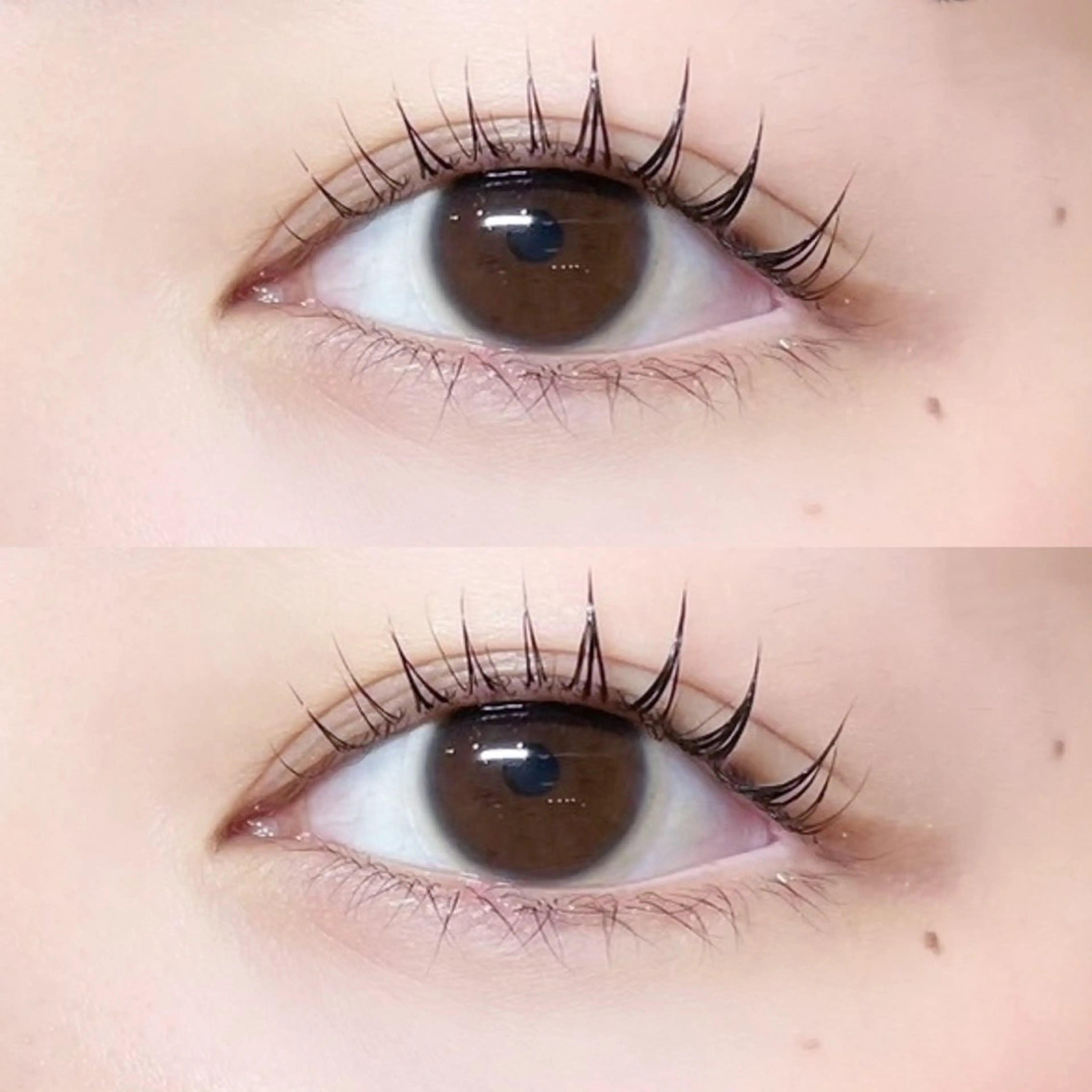 マツエク・マツパ モモ 🍑のマツエク・マツパデザイン