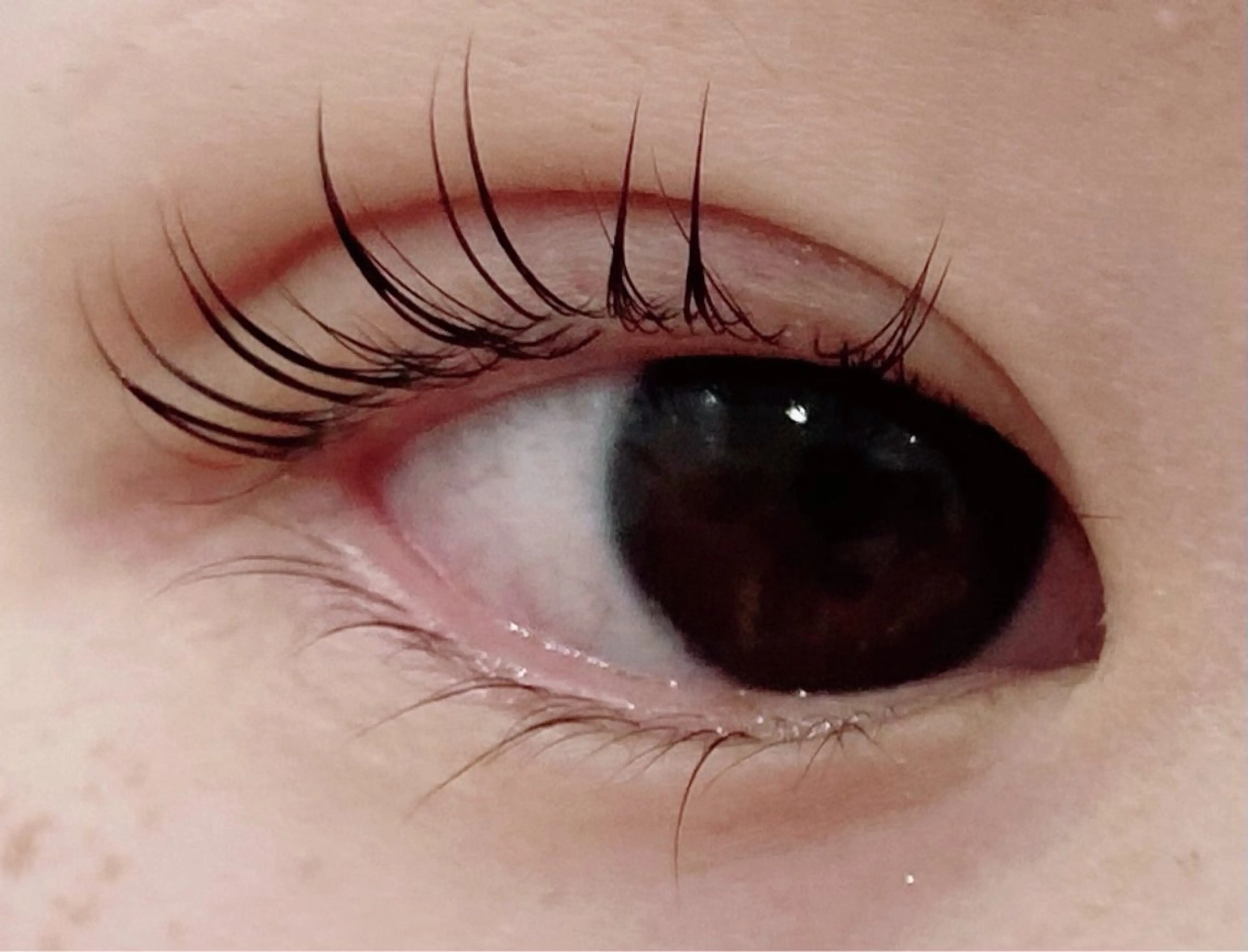 マツエク・マツパ CREA所属・木村 姫星の眉毛・アイブロウイメージ