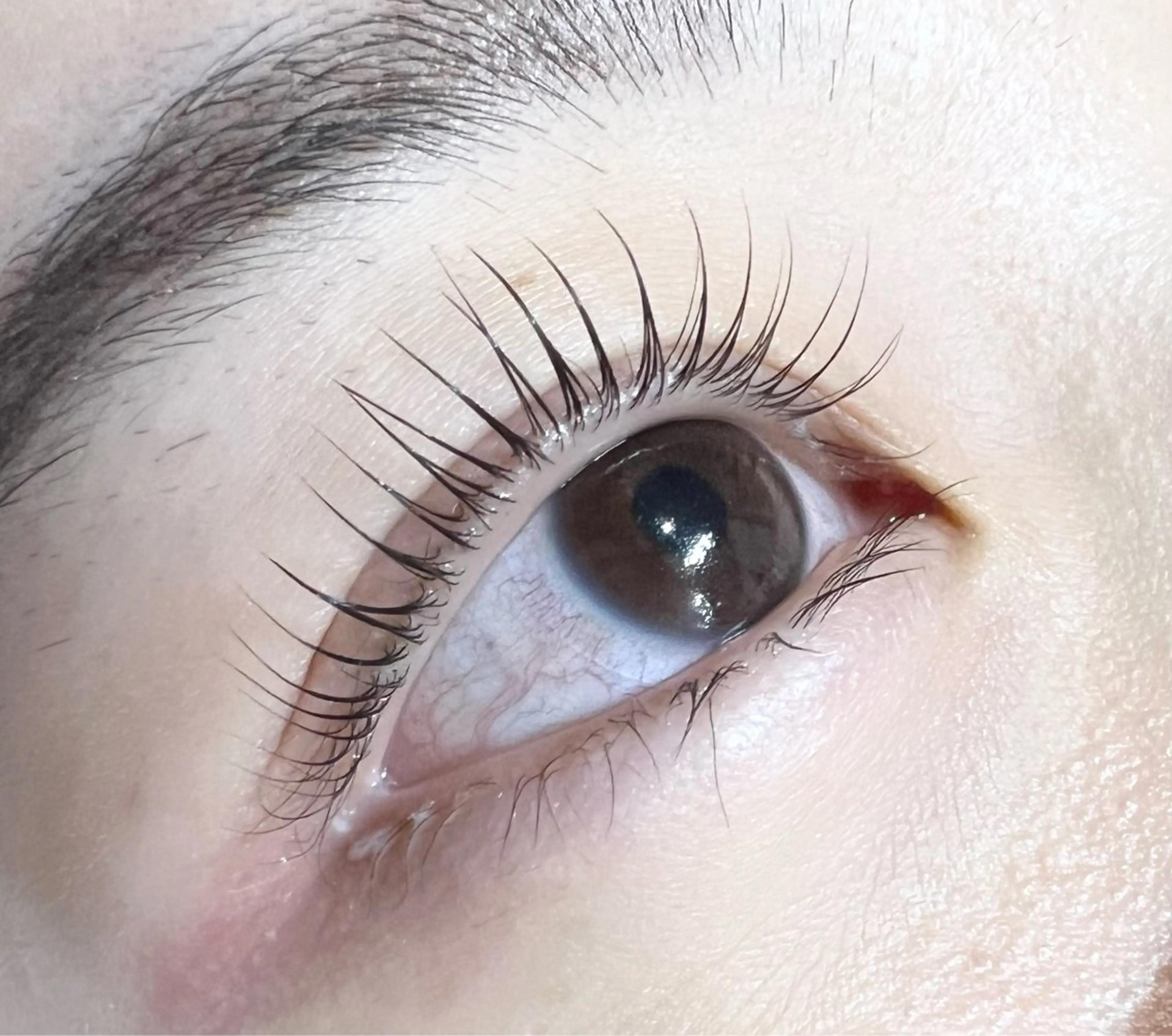 大人気‼️✨️パリジェンヌ・まつ毛パーマ✨️メンズ歓迎の写真