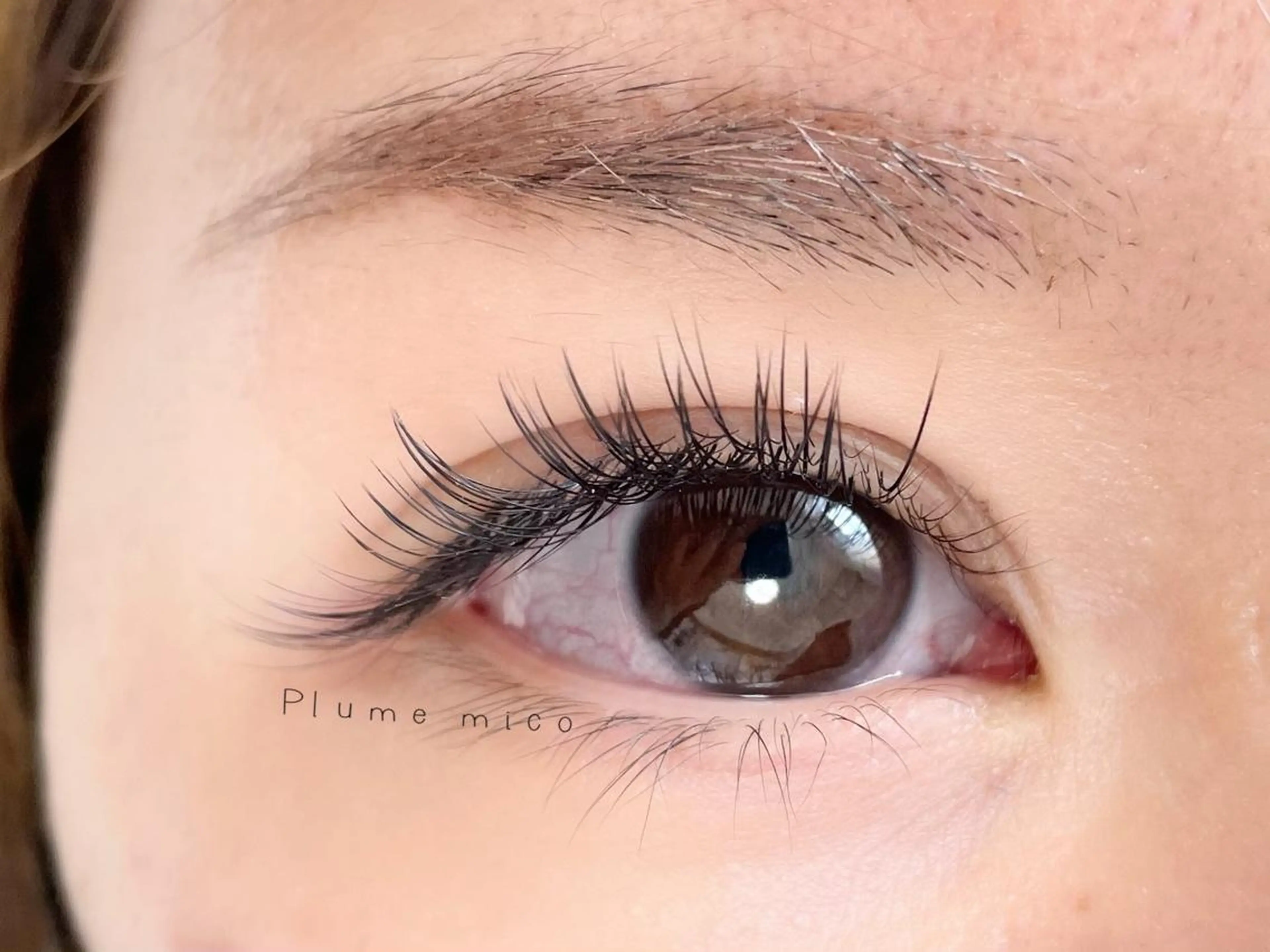 マツエク・マツパ マツエク Plume micoのマツエク・マツパデザイン