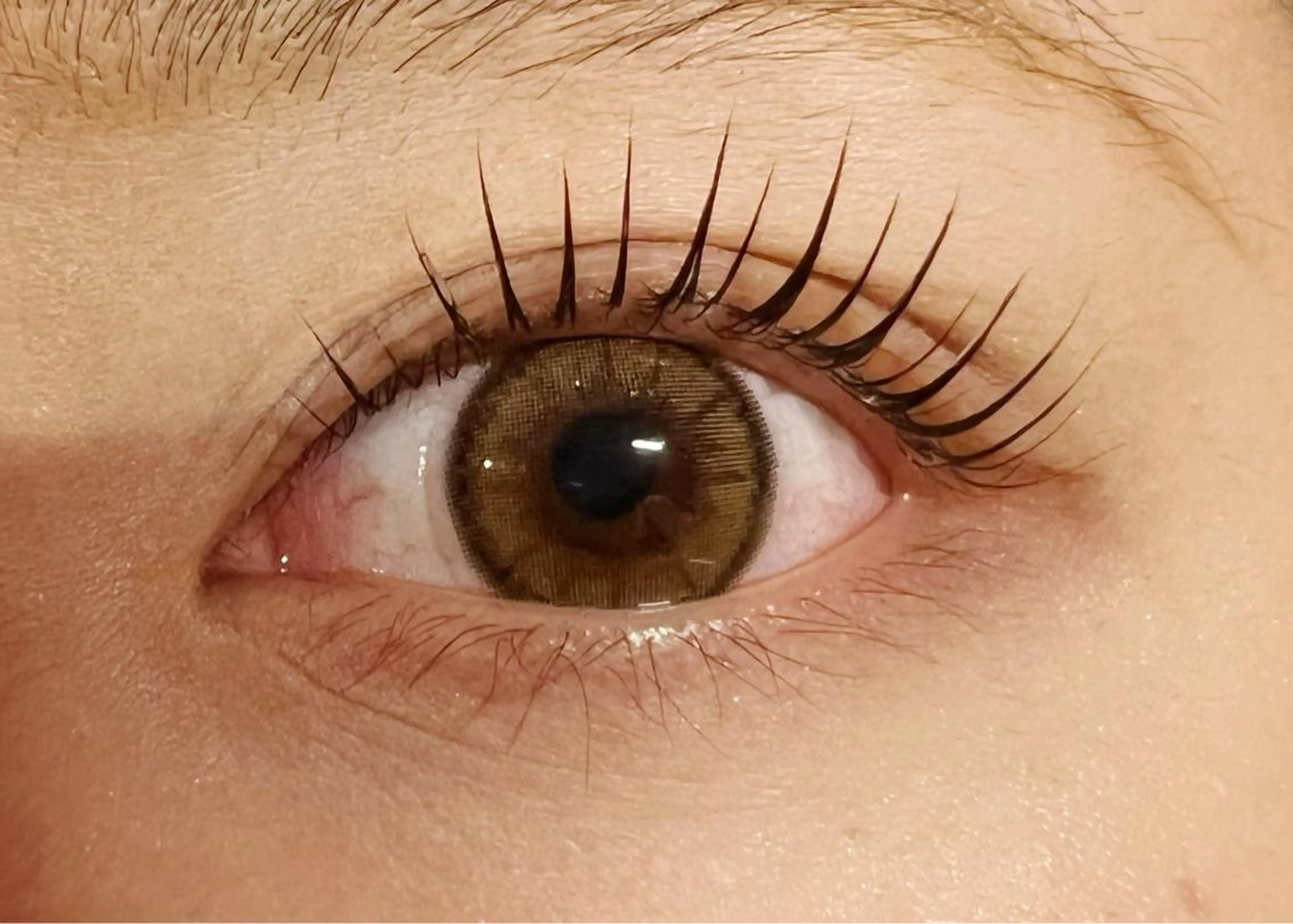 マツエク・マツパ パリジェンヌラッシュリフト Celeste Venus所属・🧸Celeste Venusのマツエク・マツパデザイン