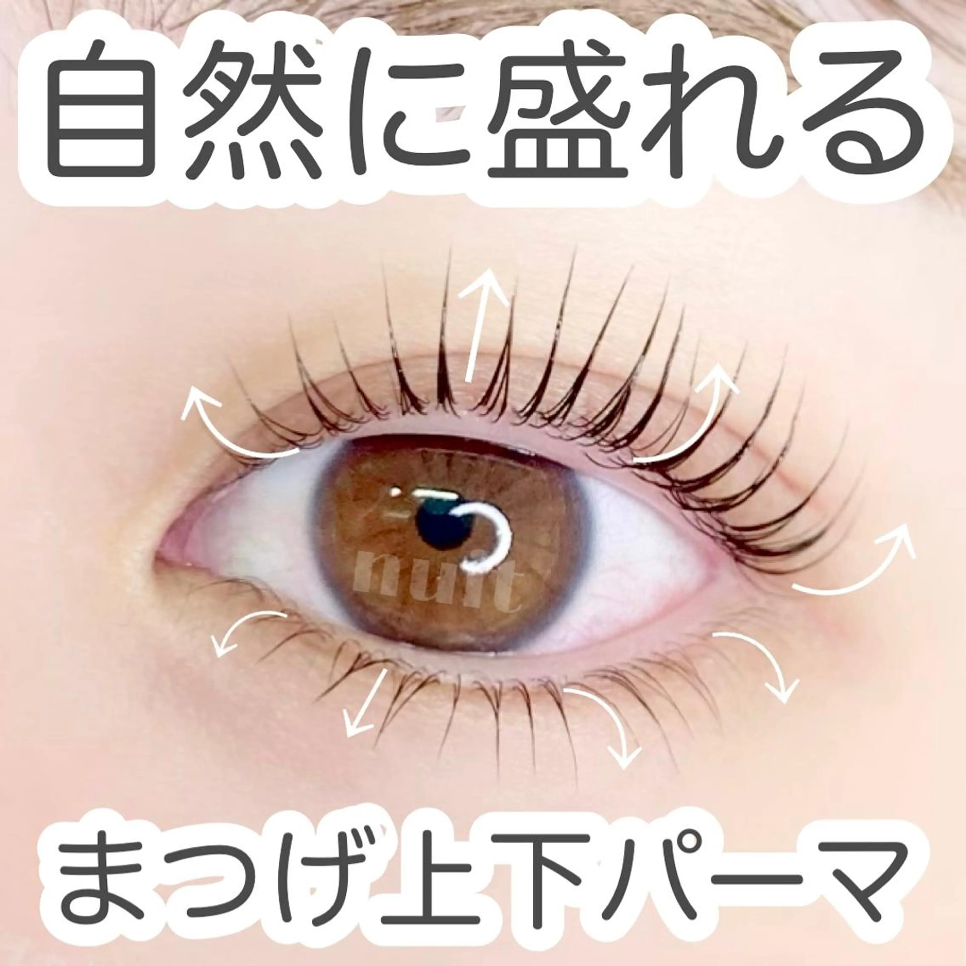 パリジェンヌ/ラッシュリフト上下の写真