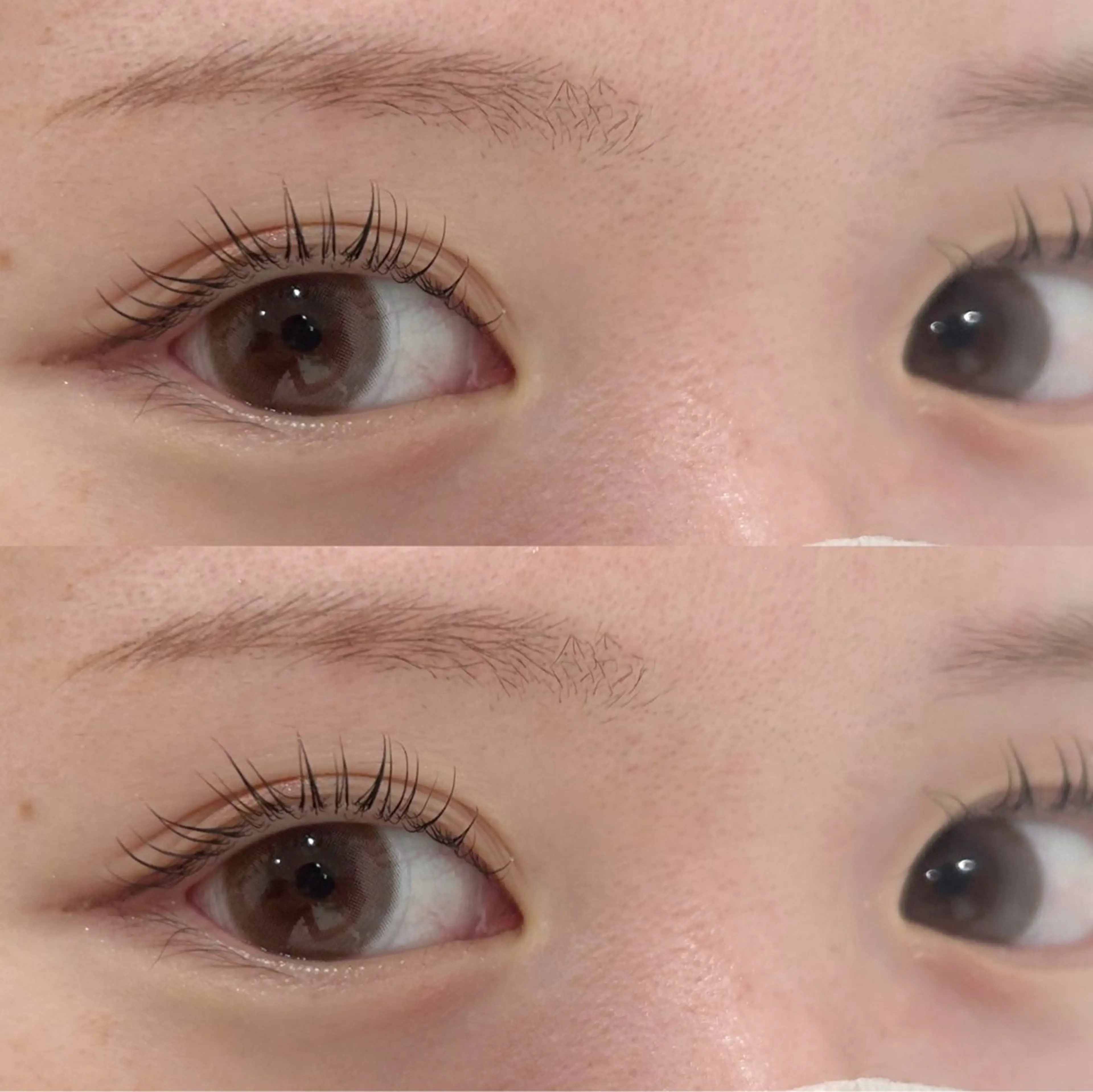 限定価格💫コーティング仕上げ⋆꙳似合わせまつ毛パーマ《上まつ毛パーマ》𐦍˖˚ֶ ִֶ☾.の写真