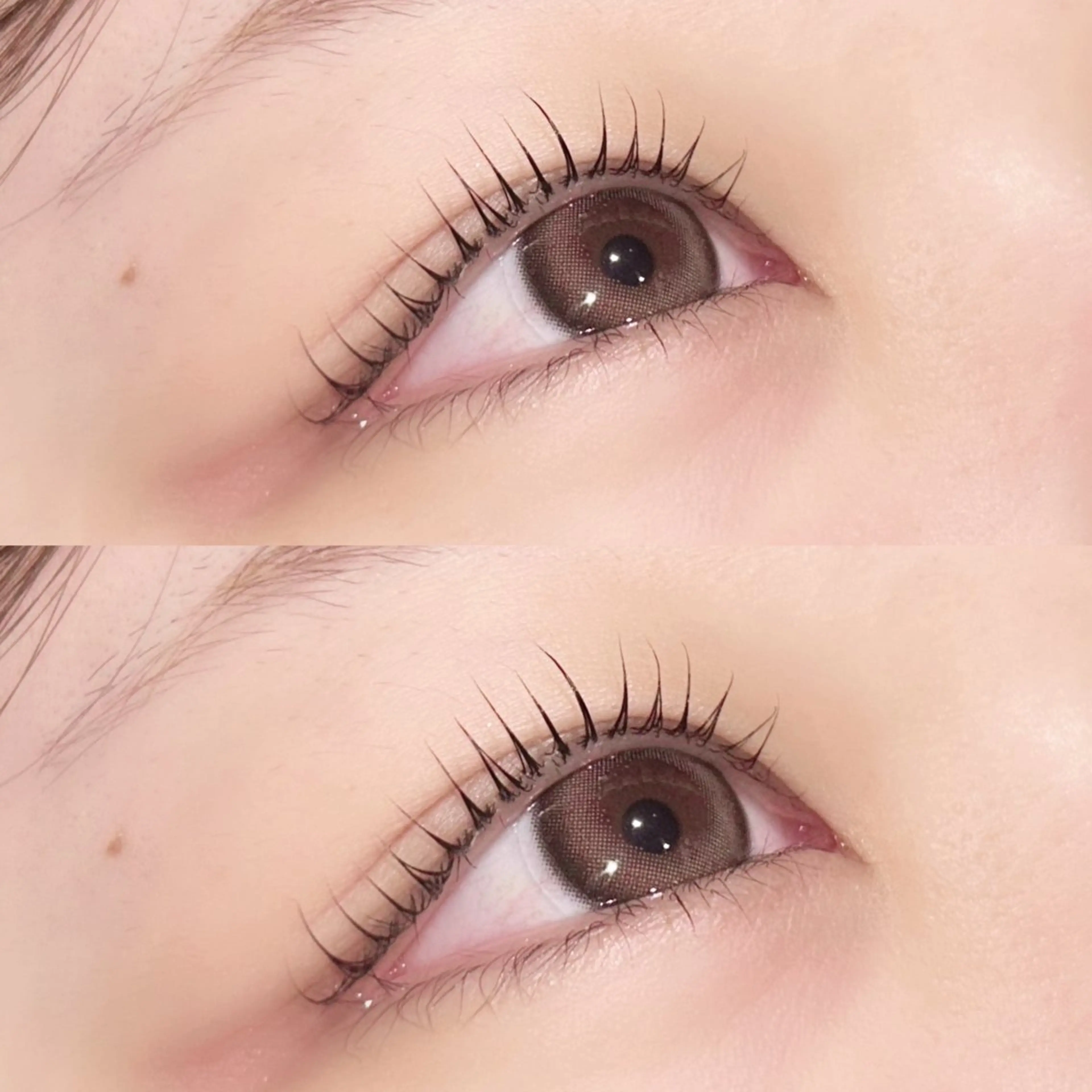 マツエク・マツパ マツパ NARUMI/ マツエク/パリ/束感のマツエク・マツパデザイン