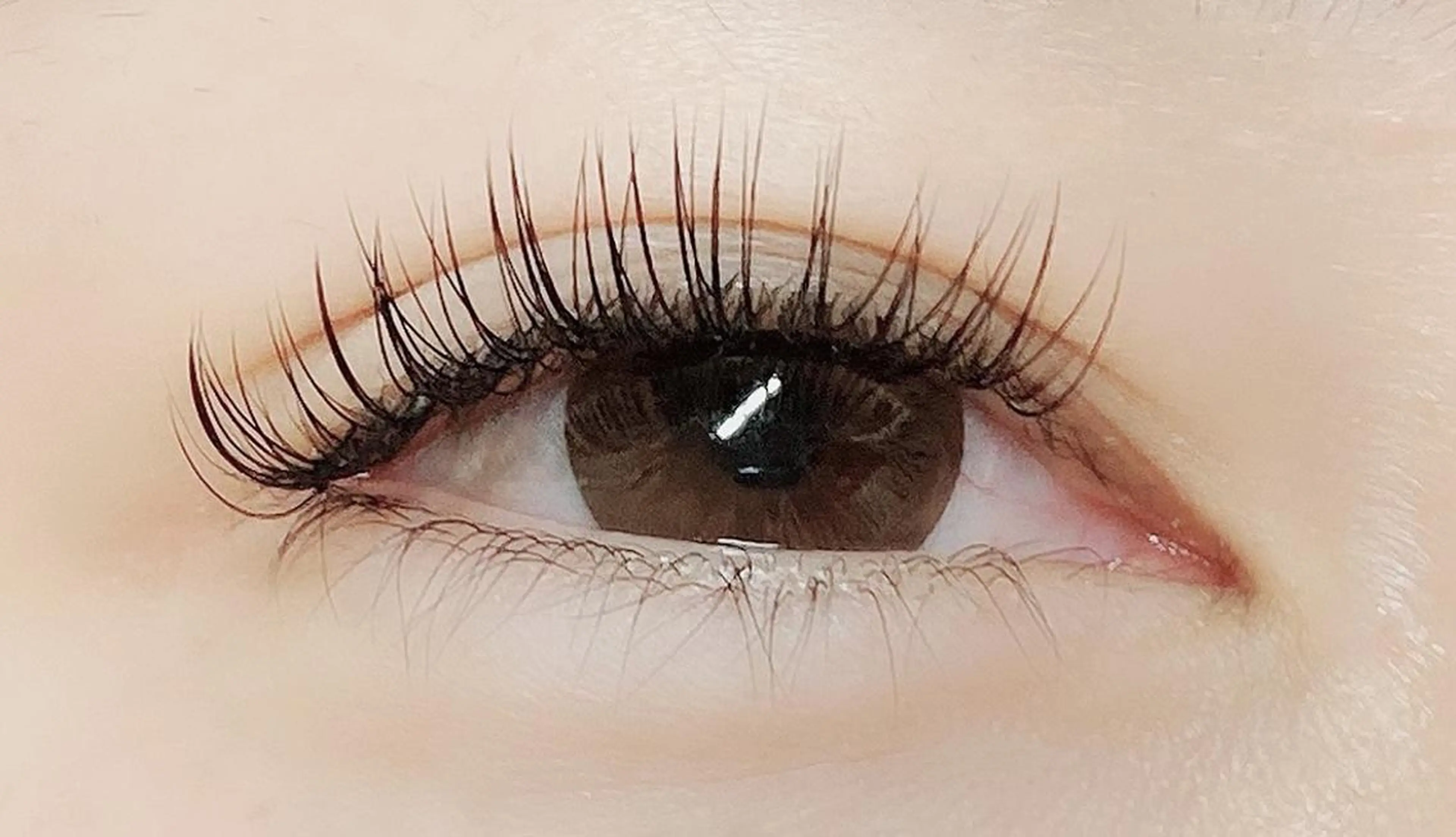マツエク・マツパ LASH BAR所属・LASH BAR🫧 天王寺のその他イメージ
