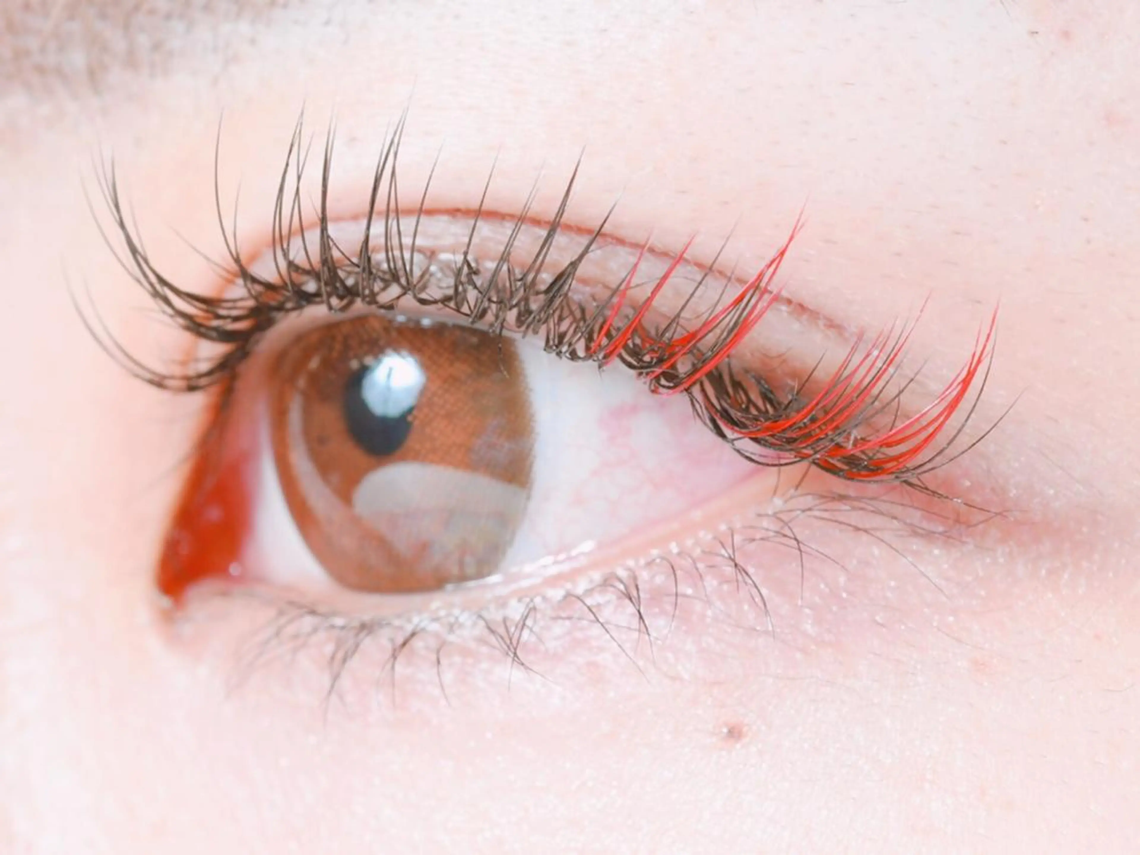 カラーエクステ(130本まで)の写真