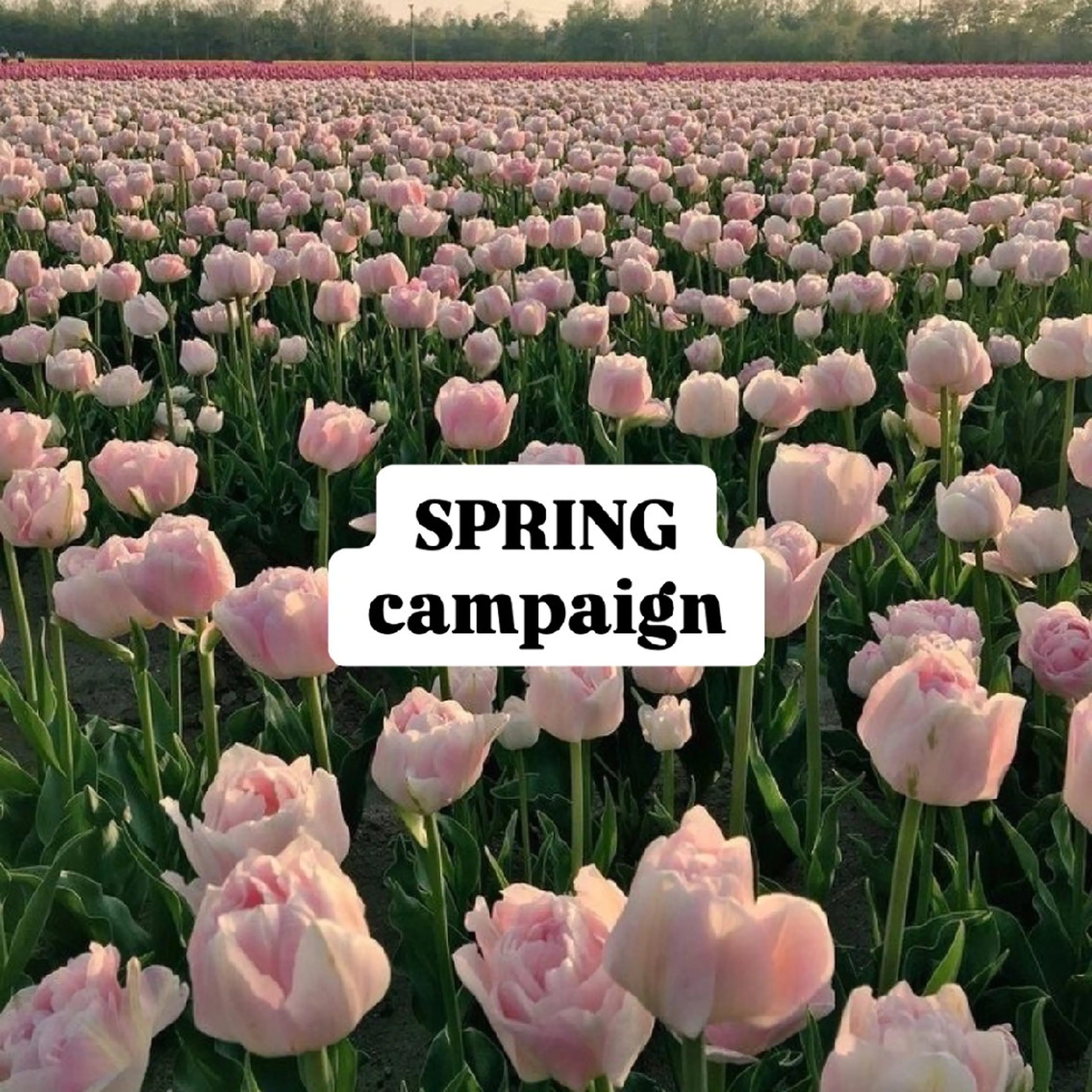 骨盤矯正フィジーク大宮所属・トータルビューティー 痩身&小顔専門店のエステ・リラクイメージ