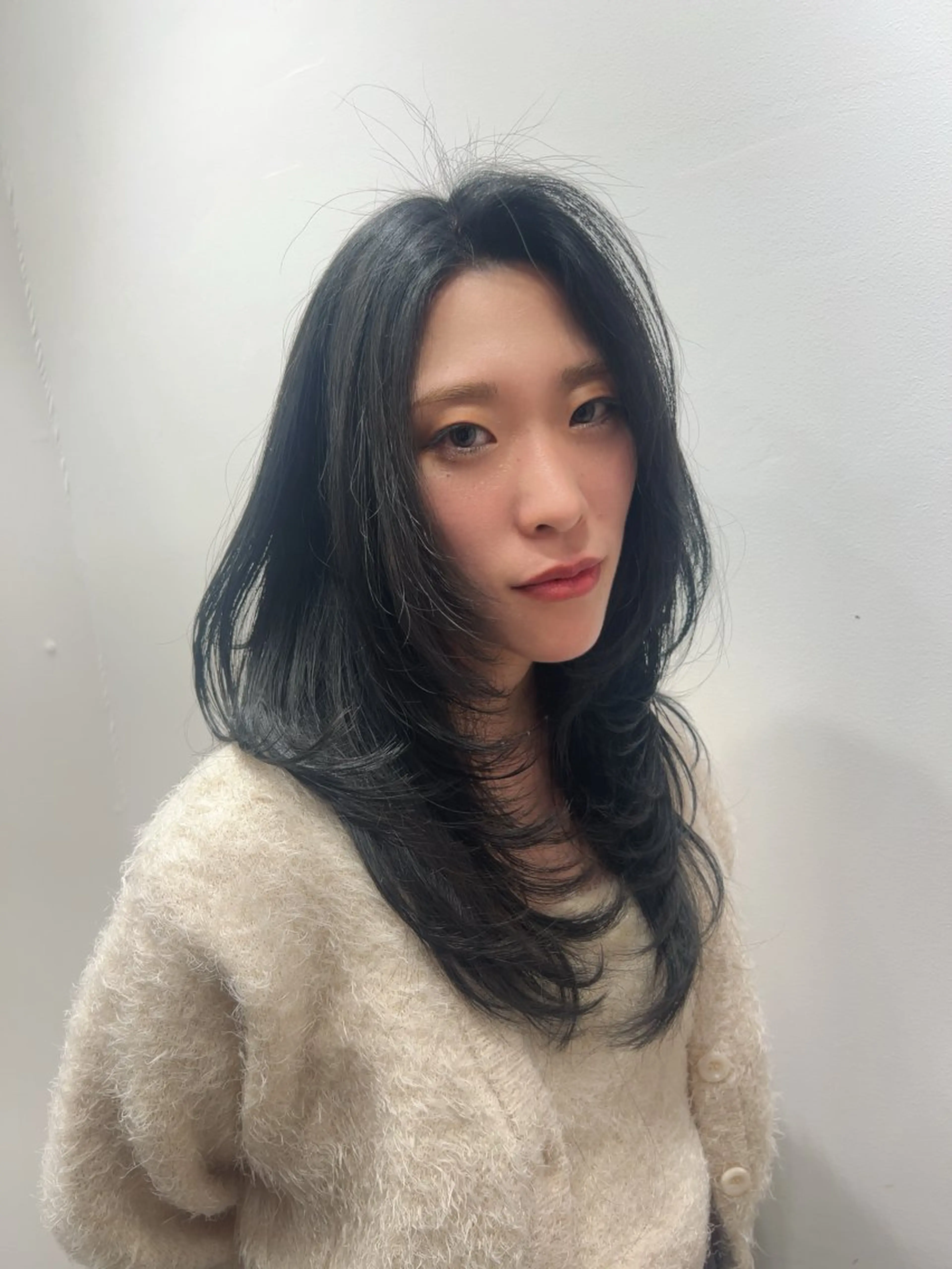 ロング ハッシュカット カット ヘアカラー レイヤー/韓国/ ハッシュ/高田翼のヘアスタイル