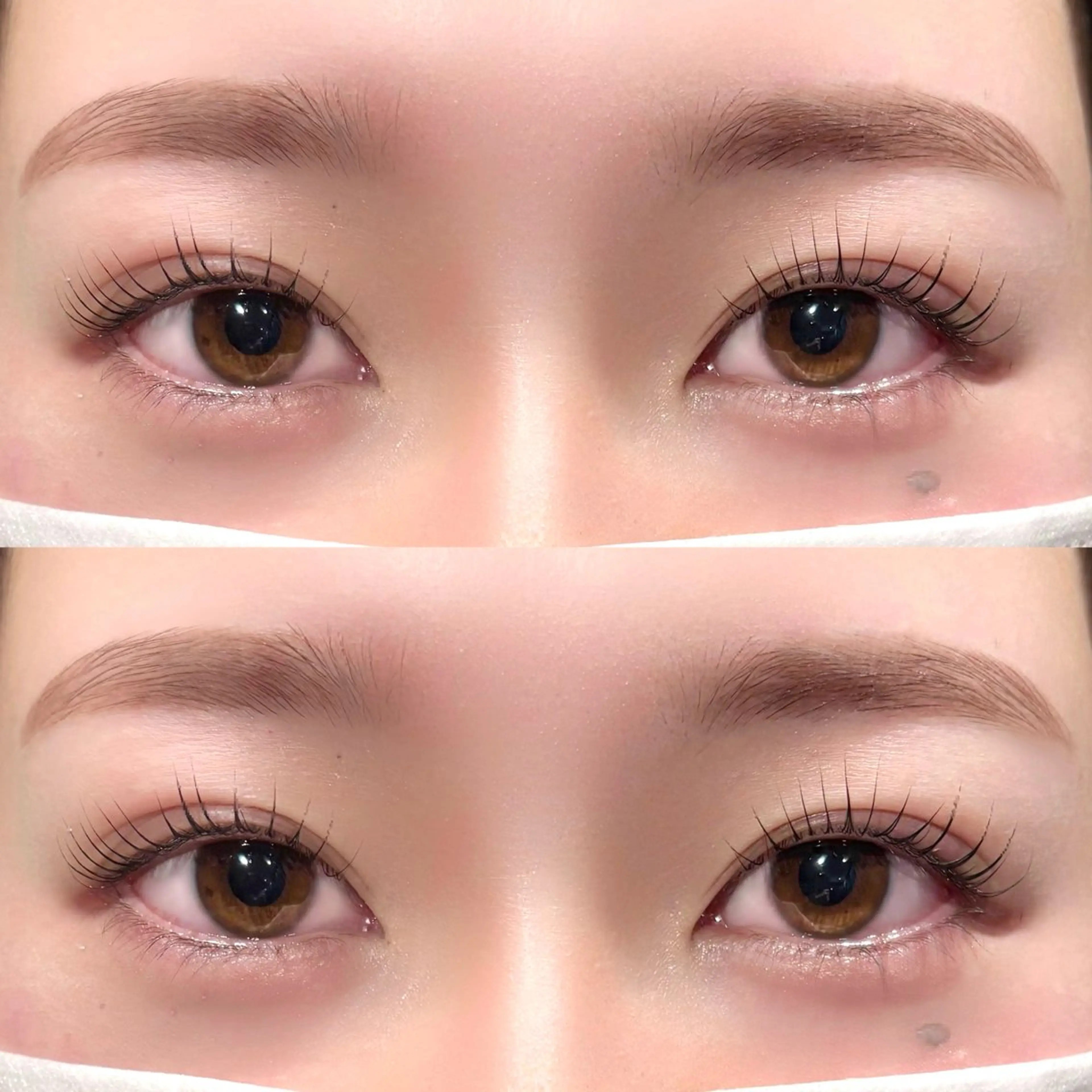 🎀美眉スタイリング＋パリジェンヌラッシュリフト🎀(マツパ変更可)の写真