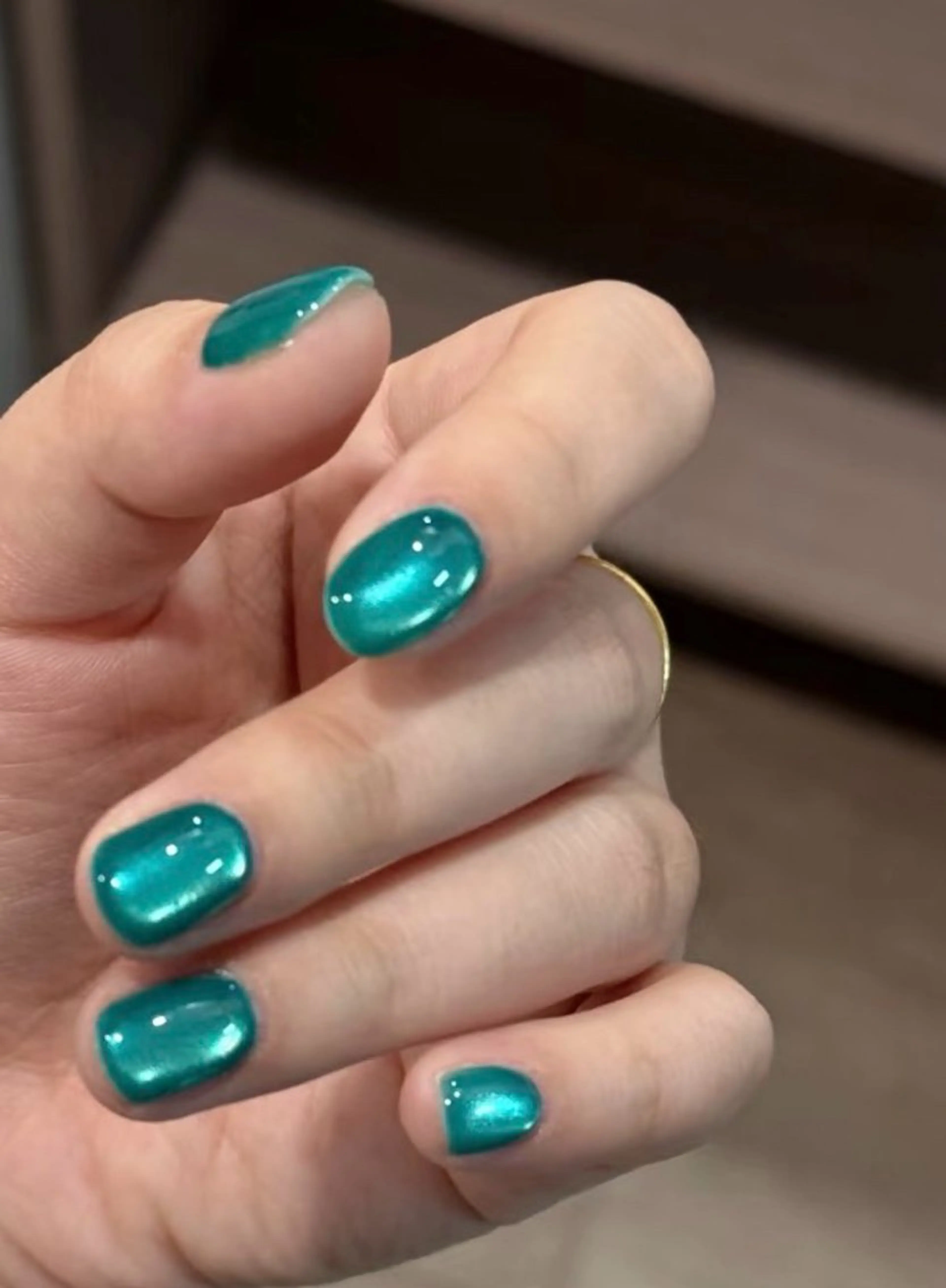 ネイル マグネットネイル マグネットワンカラー ワンカラーネイル 京美人所属・京 美人のネイルデザイン