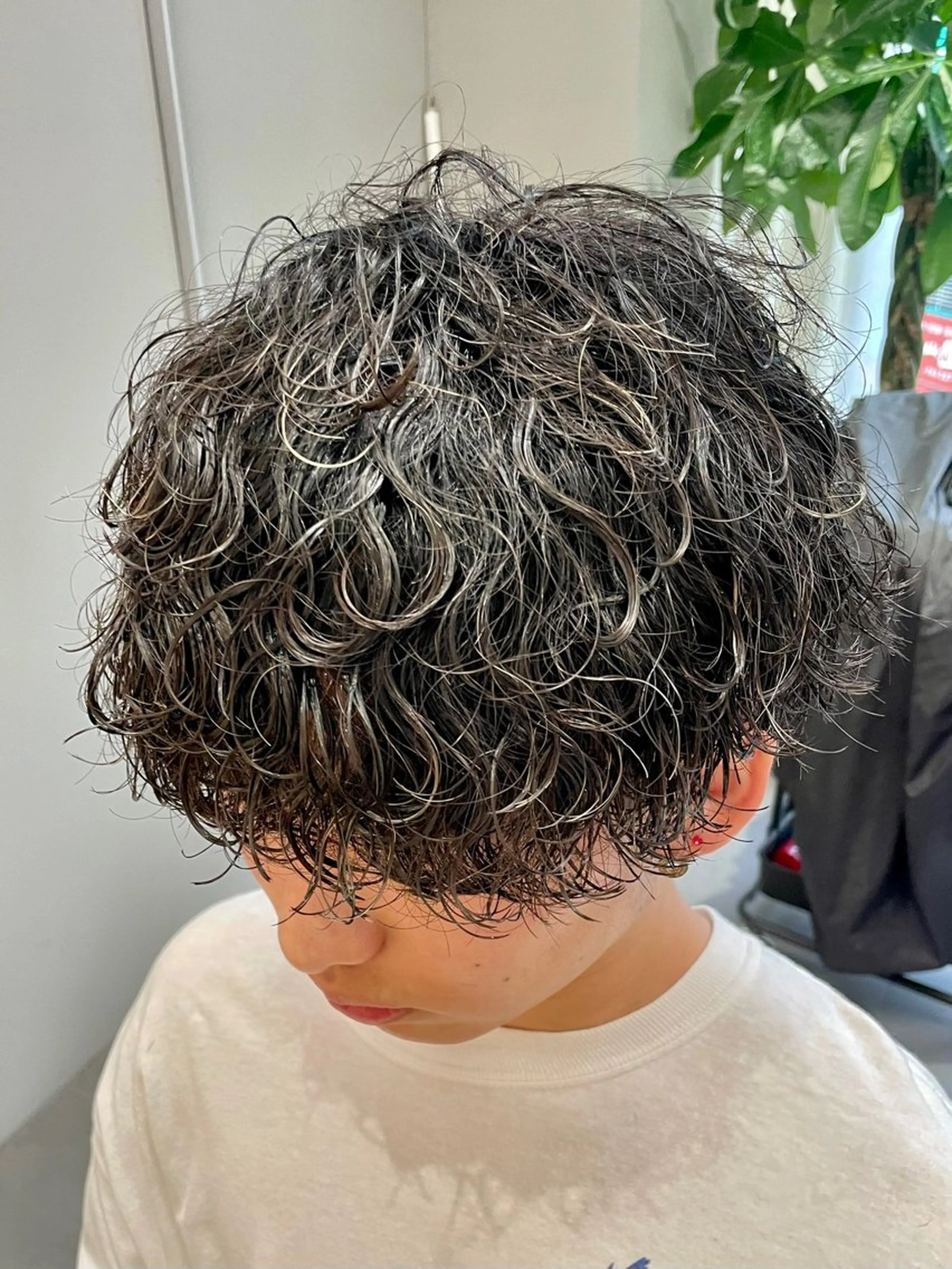 パーマ メンズ メンズパーマ プードルパーマ プードルパーマ カット パーマ トリートメント 立川/過去1の毛流れ パーマ/しゅーとのヘアスタイル