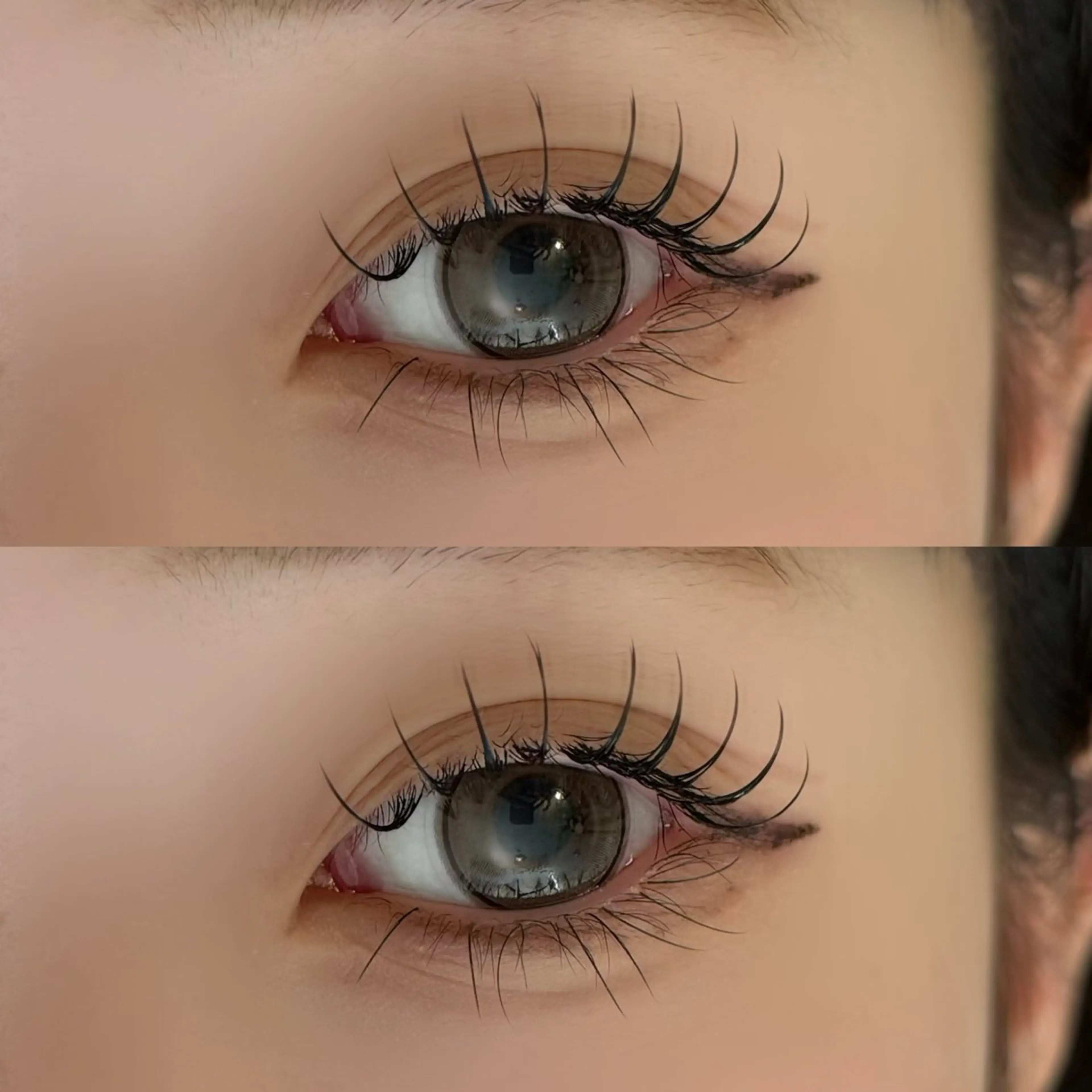 マツエク・マツパ フラットラッシュ マツエク 🐾ROAR🐾 HAZUKIのマツエク・マツパデザイン