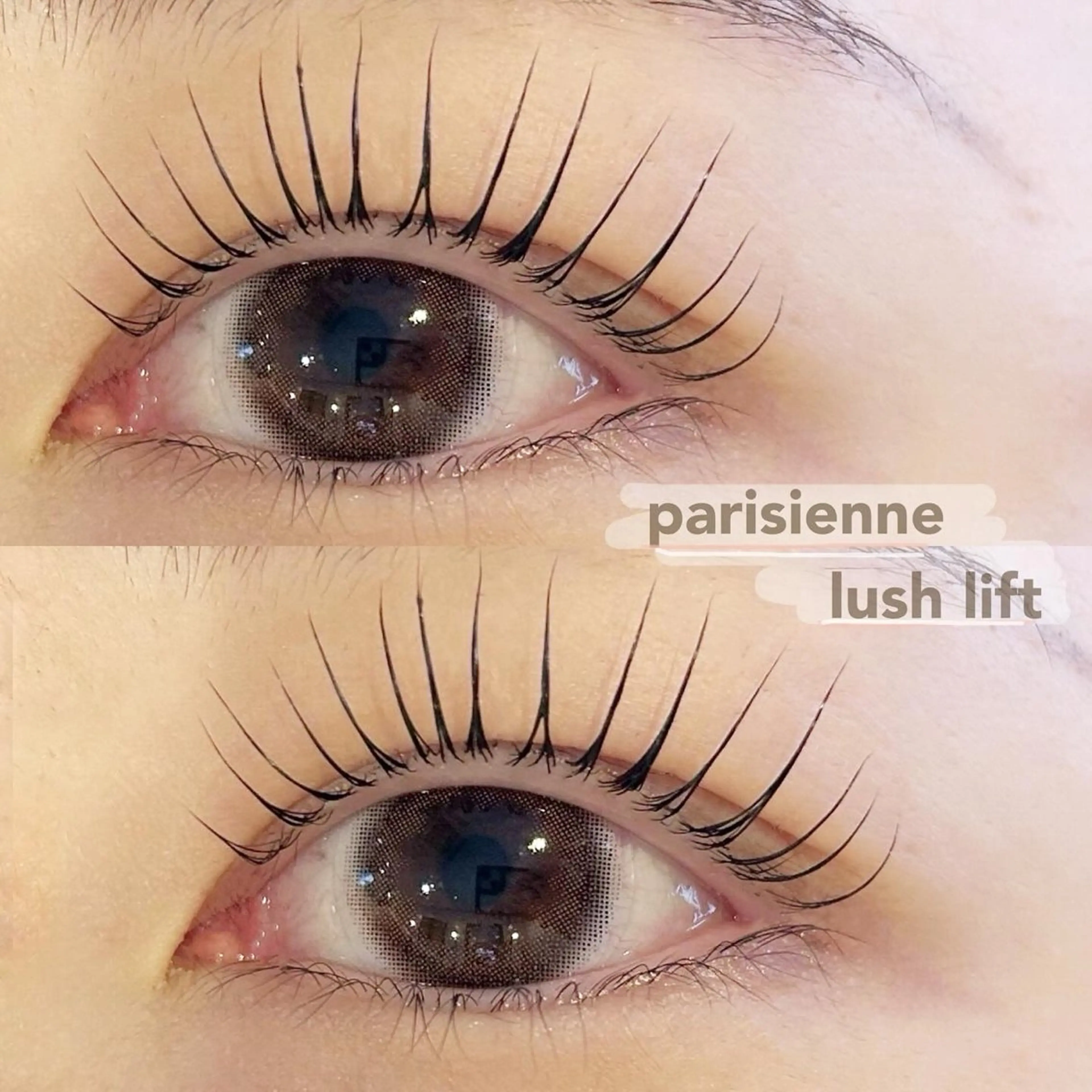 【限定クーポン】今圧倒的大人気！！パリジェンヌラッシュリフトの写真