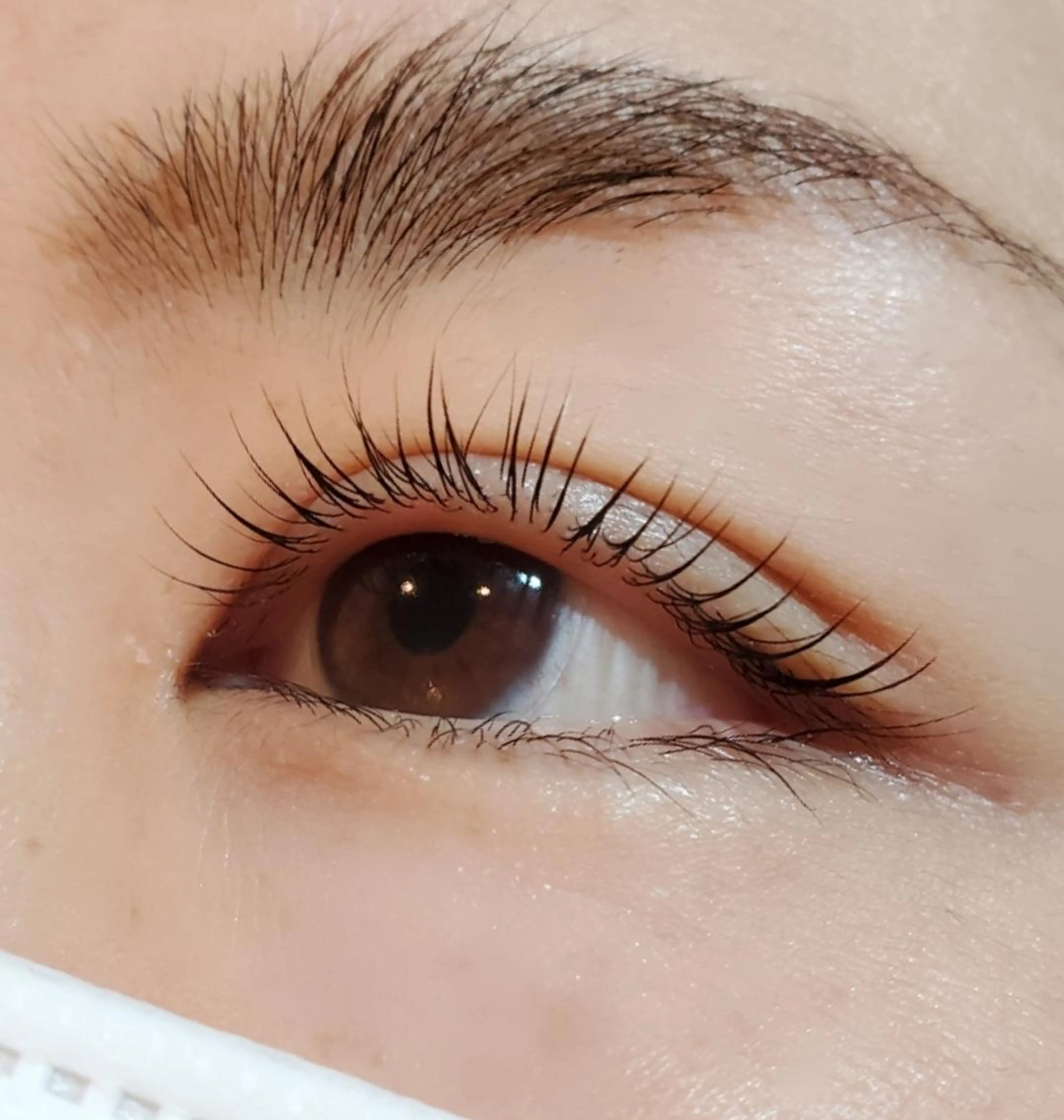 マツエク・マツパ ant_u🌷 arisaのマツエク・マツパデザイン