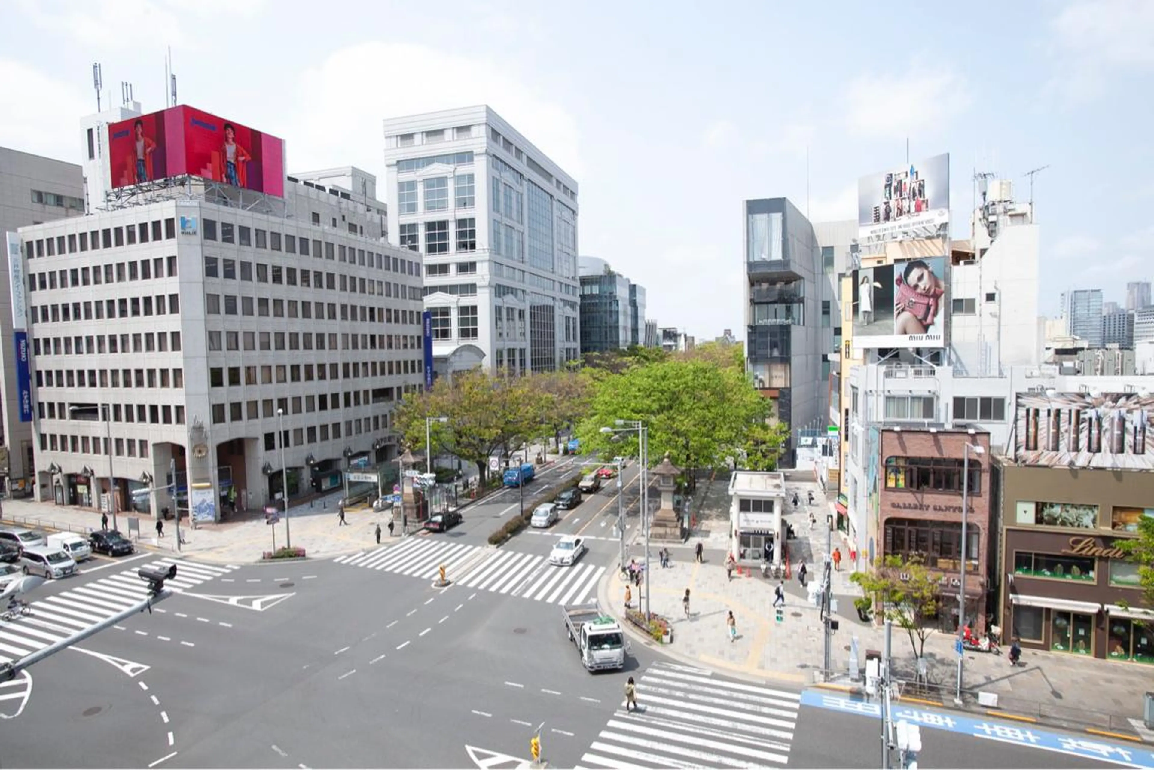 ミディアム 🫧縮毛矯正🫧ai hara🫧表参道のヘアスタイル