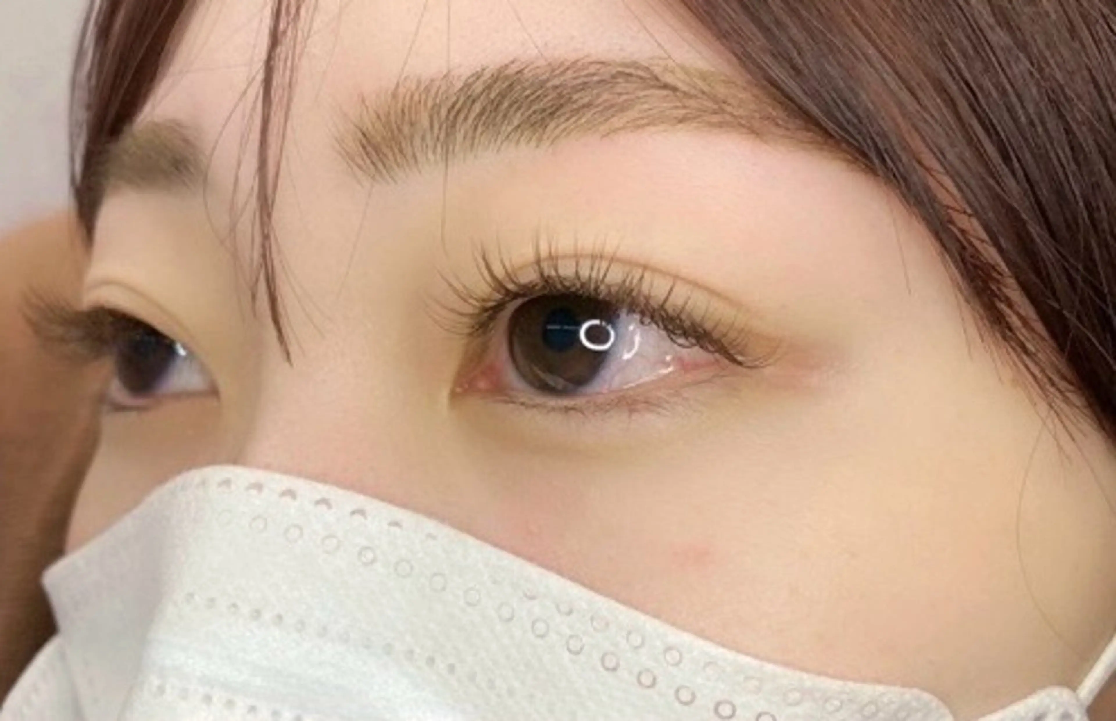 🫧フラットラッシュ90分付け放題【100本保証】ジュニアアイリストモニター募集⭐️オフ+660円オフがある場合記載必須の写真