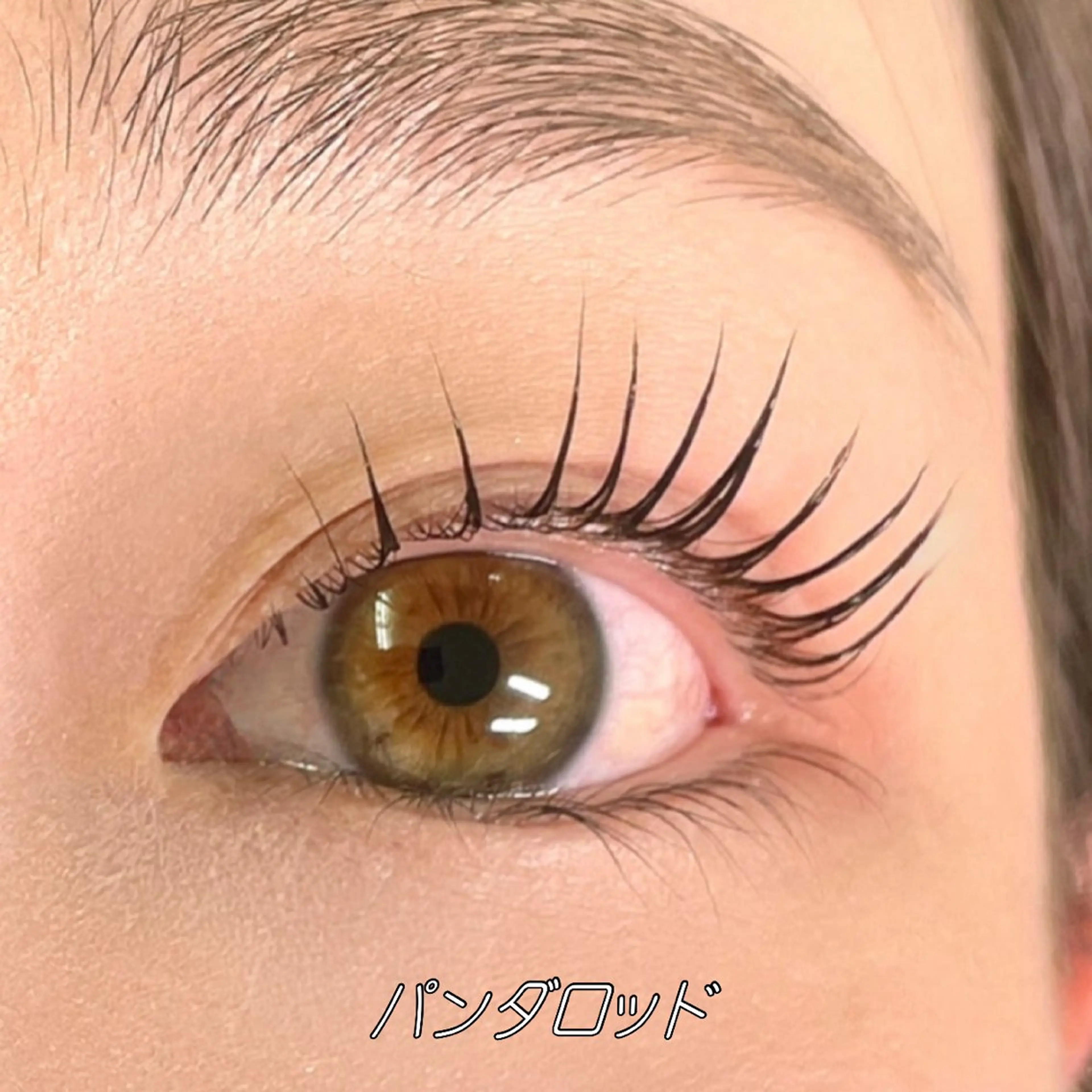 マツエク・マツパ ロロ橿原店所属・まつパ💘モデル募集 AYUMIのマツエク・マツパデザイン