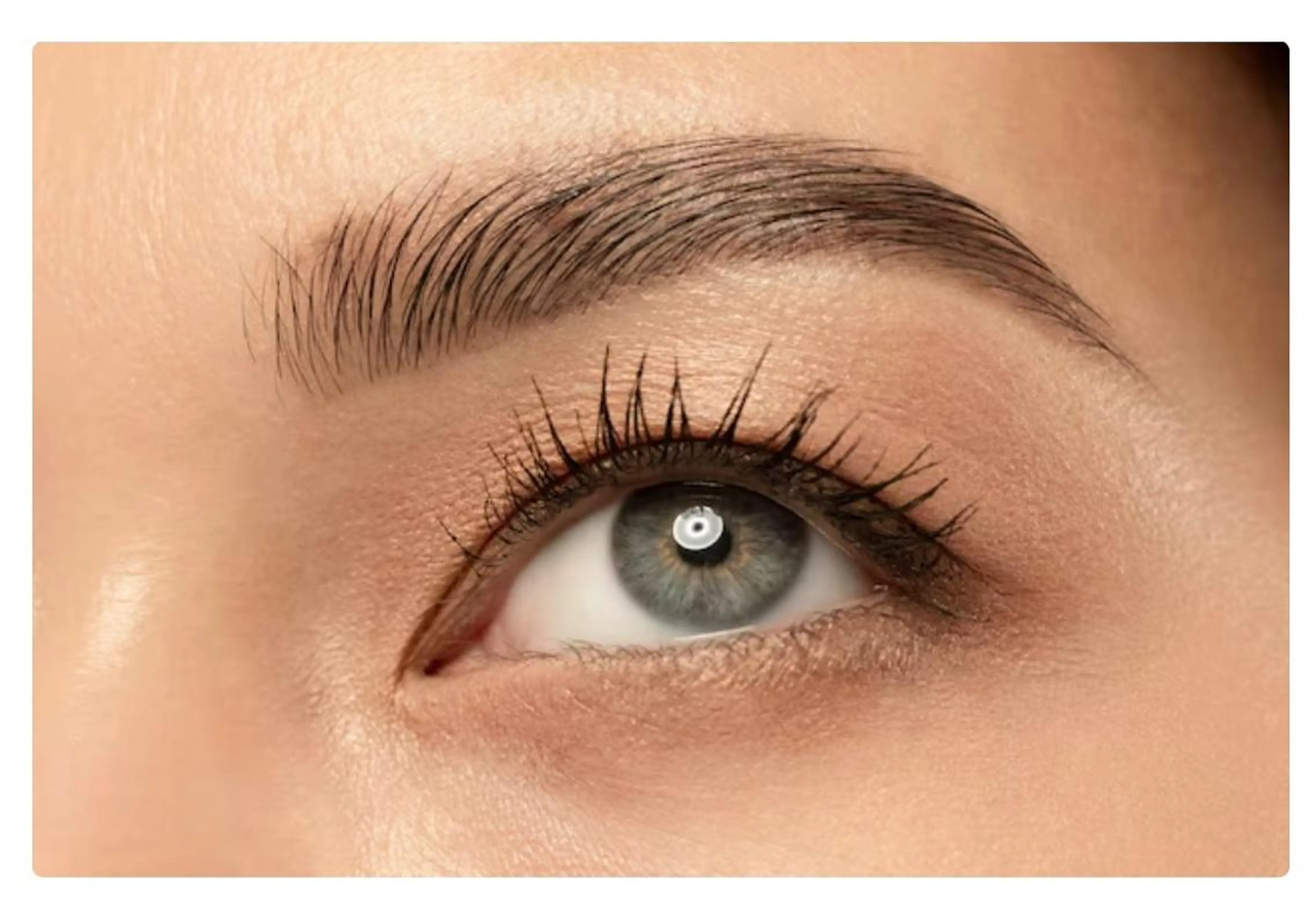 美眉ワックス👀✨(高保湿クリーム塗布、鎮静込み) \メンズOK/の写真