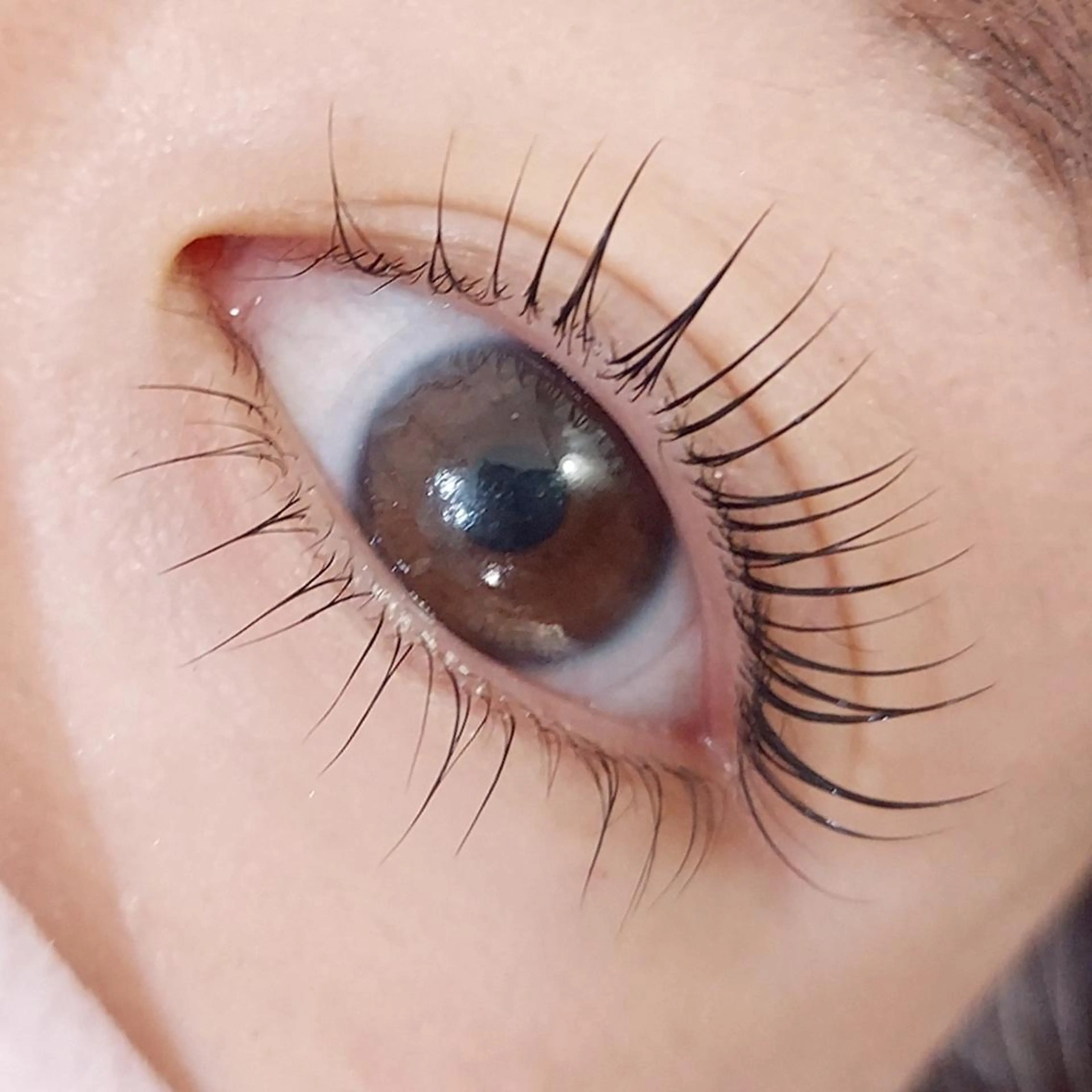 マツエク・マツパ マツパ Chisa【店長】 🌿jolie 栄店のマツエク・マツパデザイン