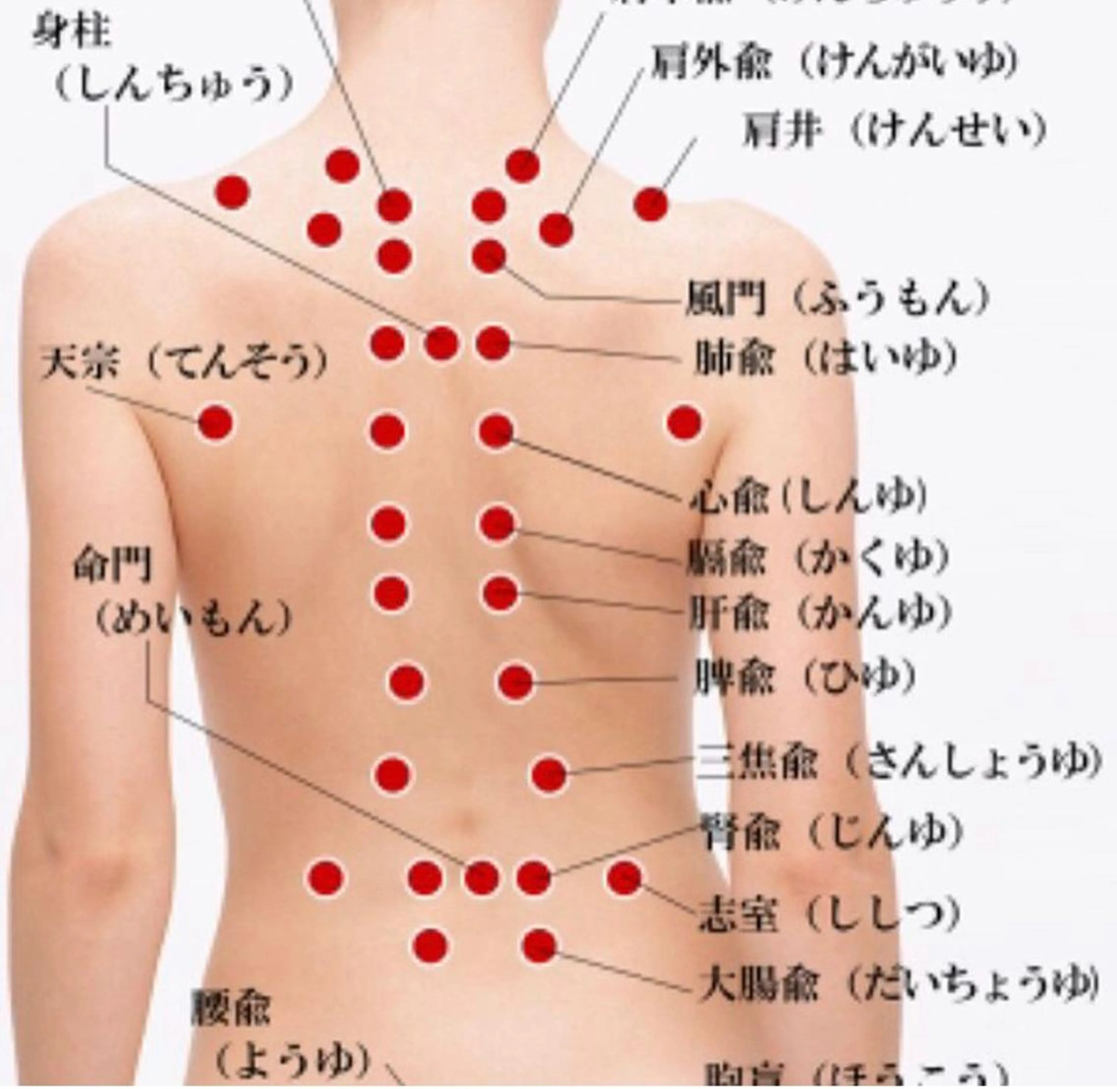 ショート カラー パーマ ヘアアレンジ メンズ キッズ ネイル マツエク・マツパ ‍痩身＆ボディ 結果出し🌟丹野のエステ・リラクイメージ