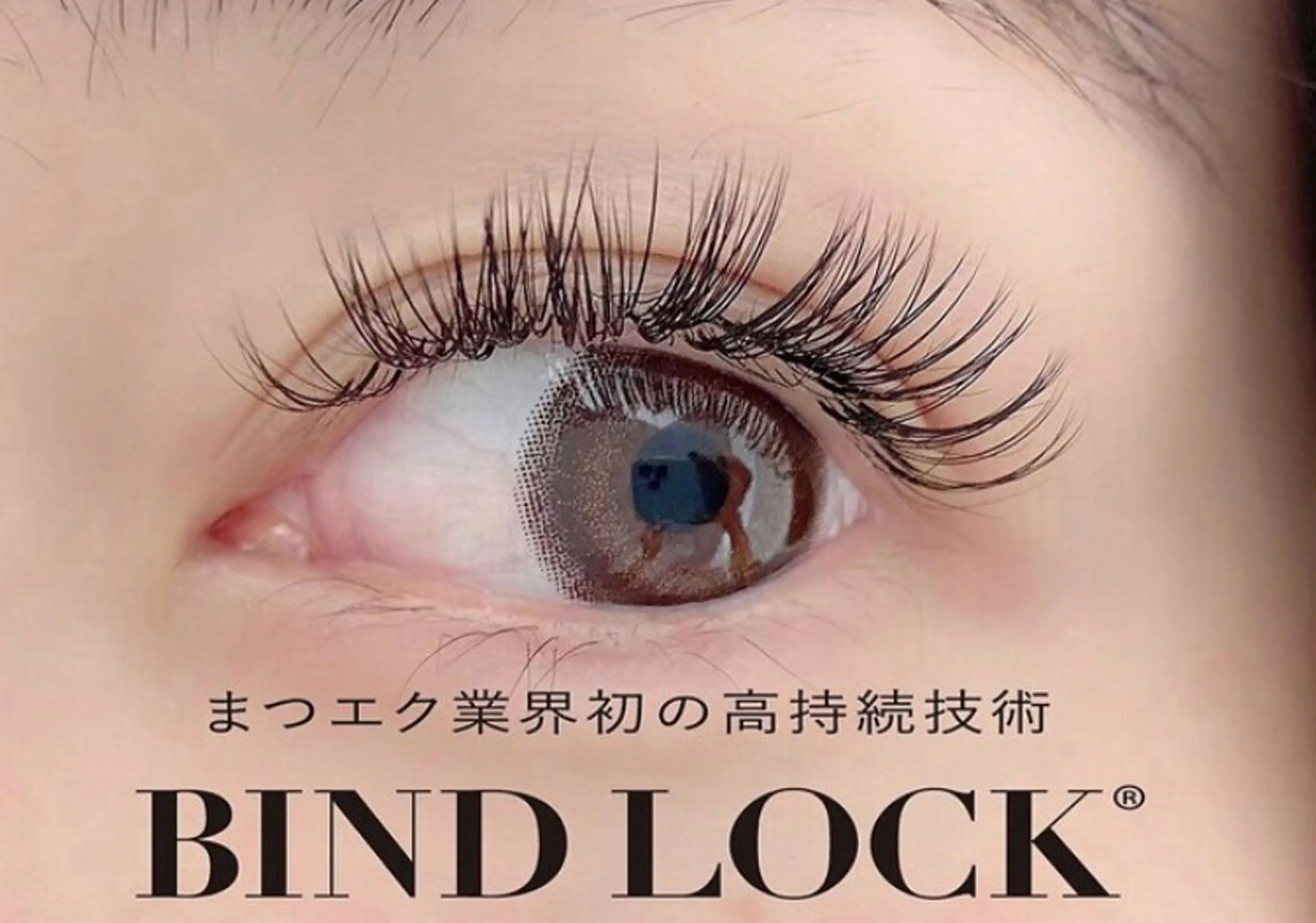 バインドロック100束※オフ無料の写真