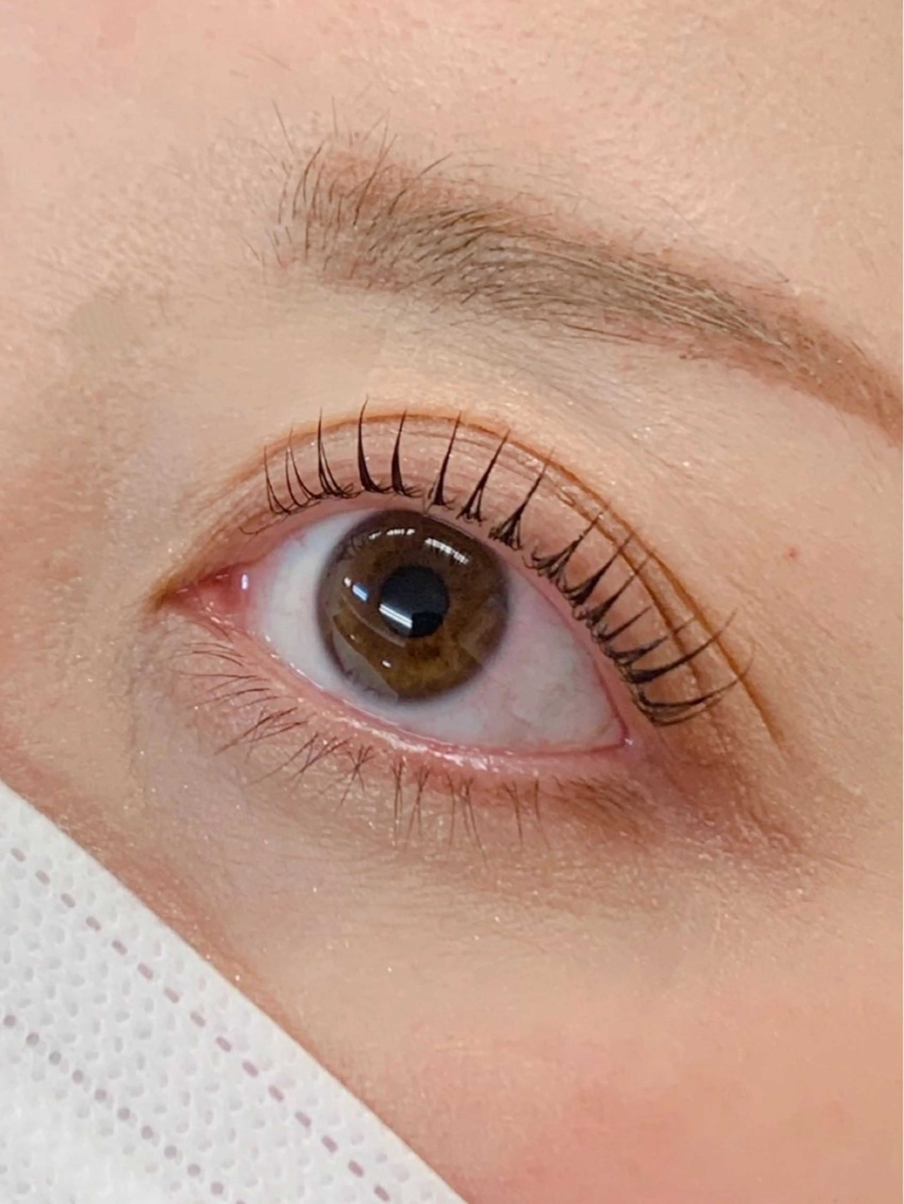 マツエク・マツパ 一重×まつ毛パーマ Lil by Fan. 菊池のマツエク・マツパデザイン