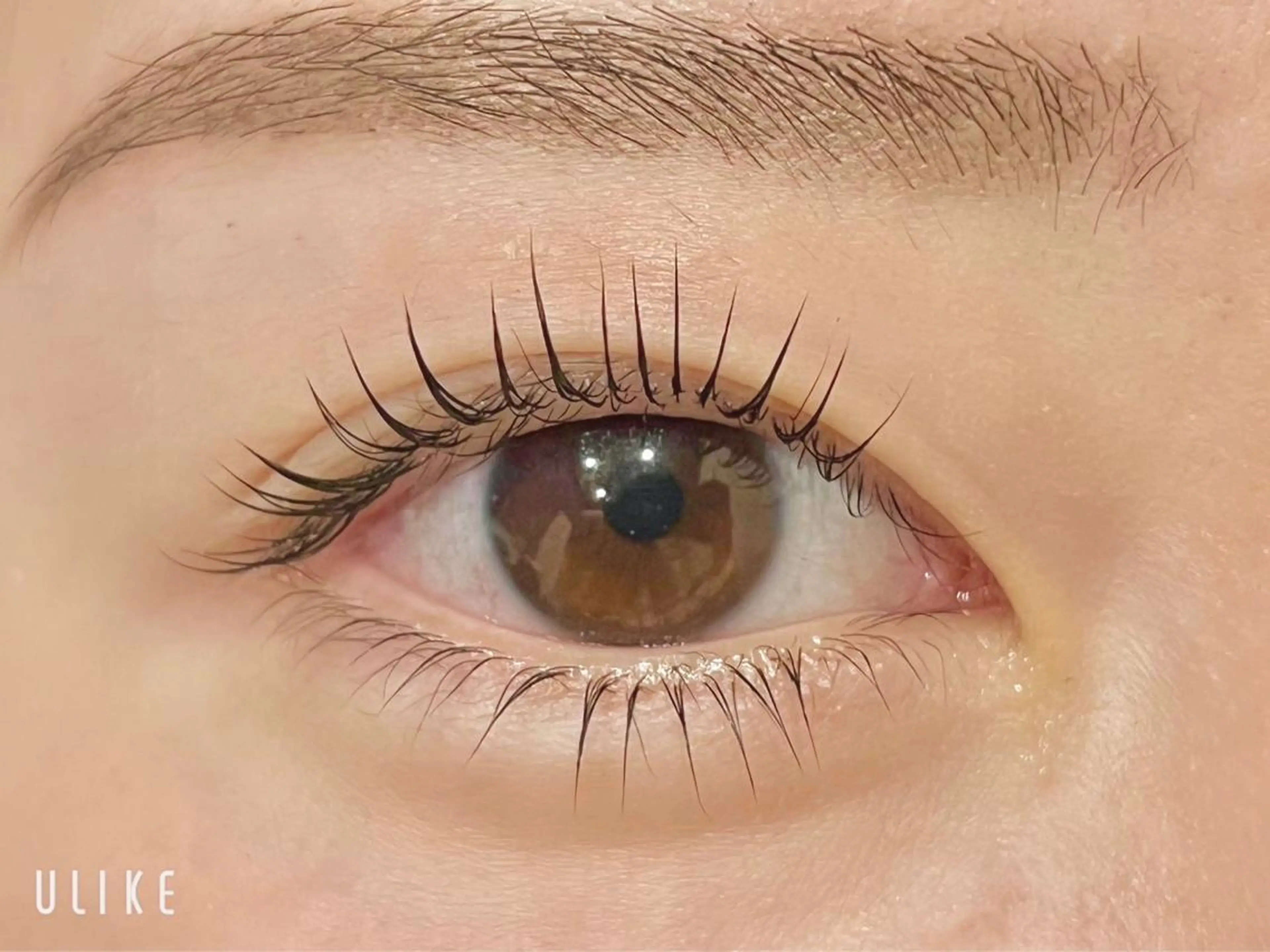 マツエク・マツパ 眉毛専門店 Ai Quickの眉毛・アイブロウイメージ