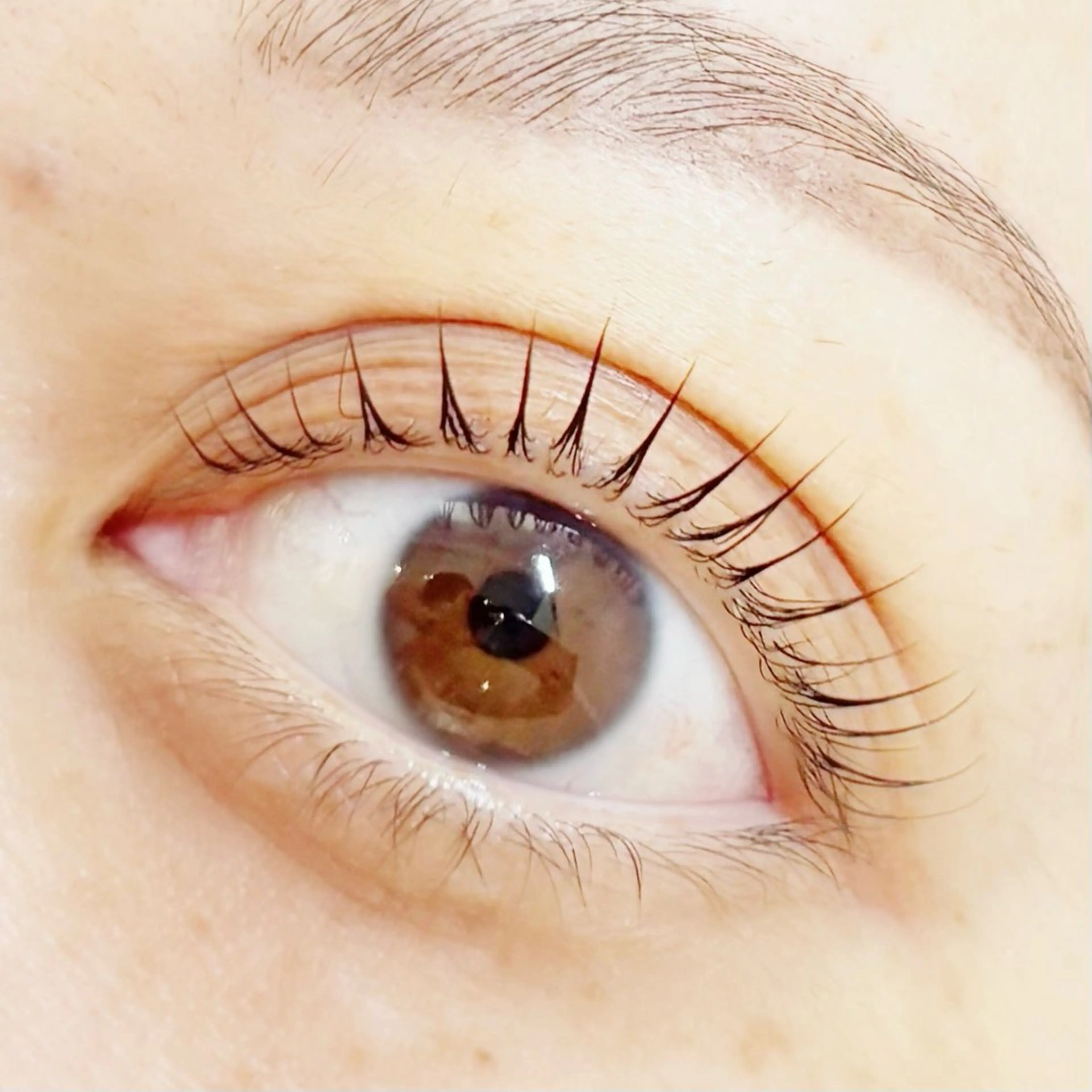 マツエク・マツパ マツパ Riana 栗田のマツエク・マツパデザイン