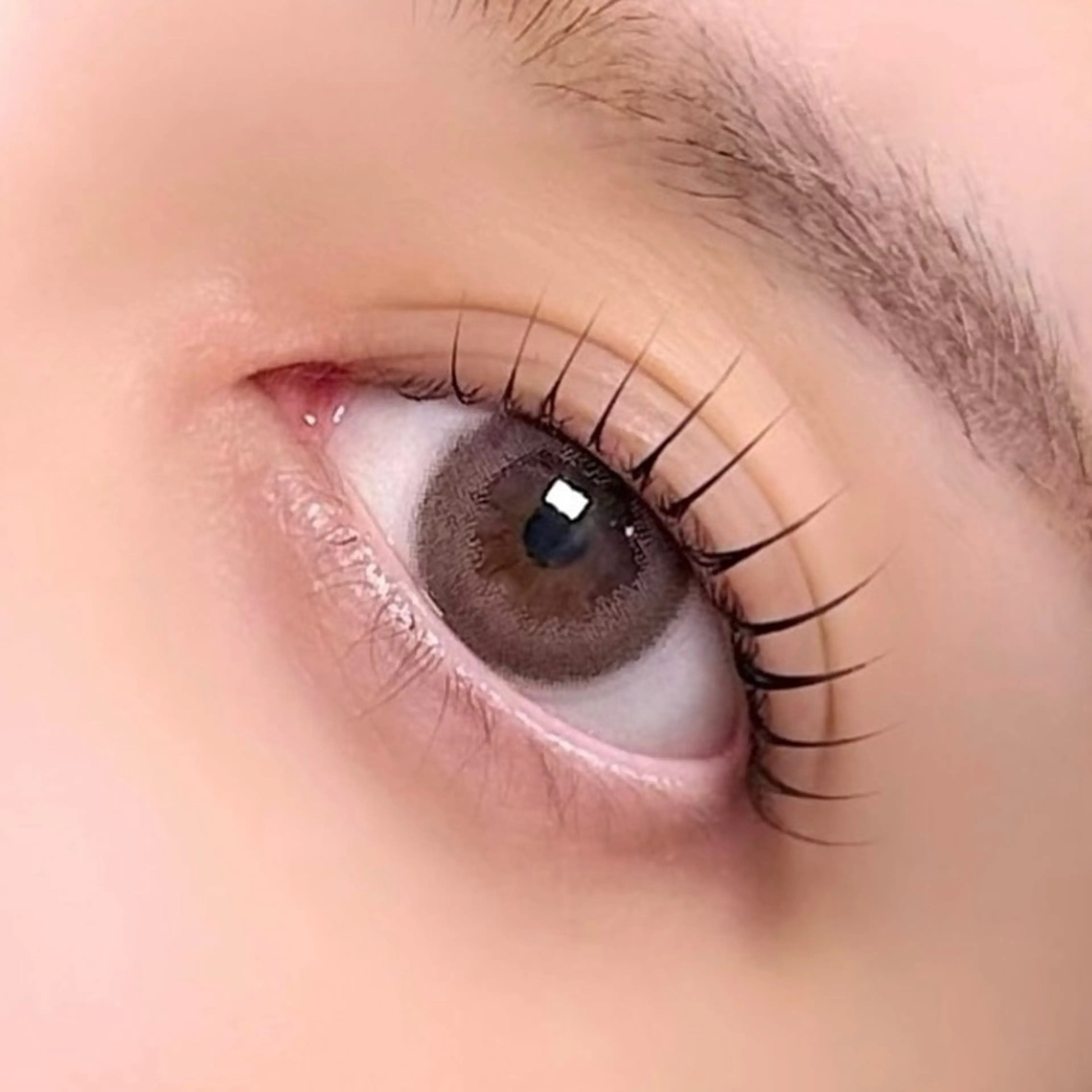 マツエク・マツパ salonAiles 【エル】SASAMEのマツエク・マツパデザイン