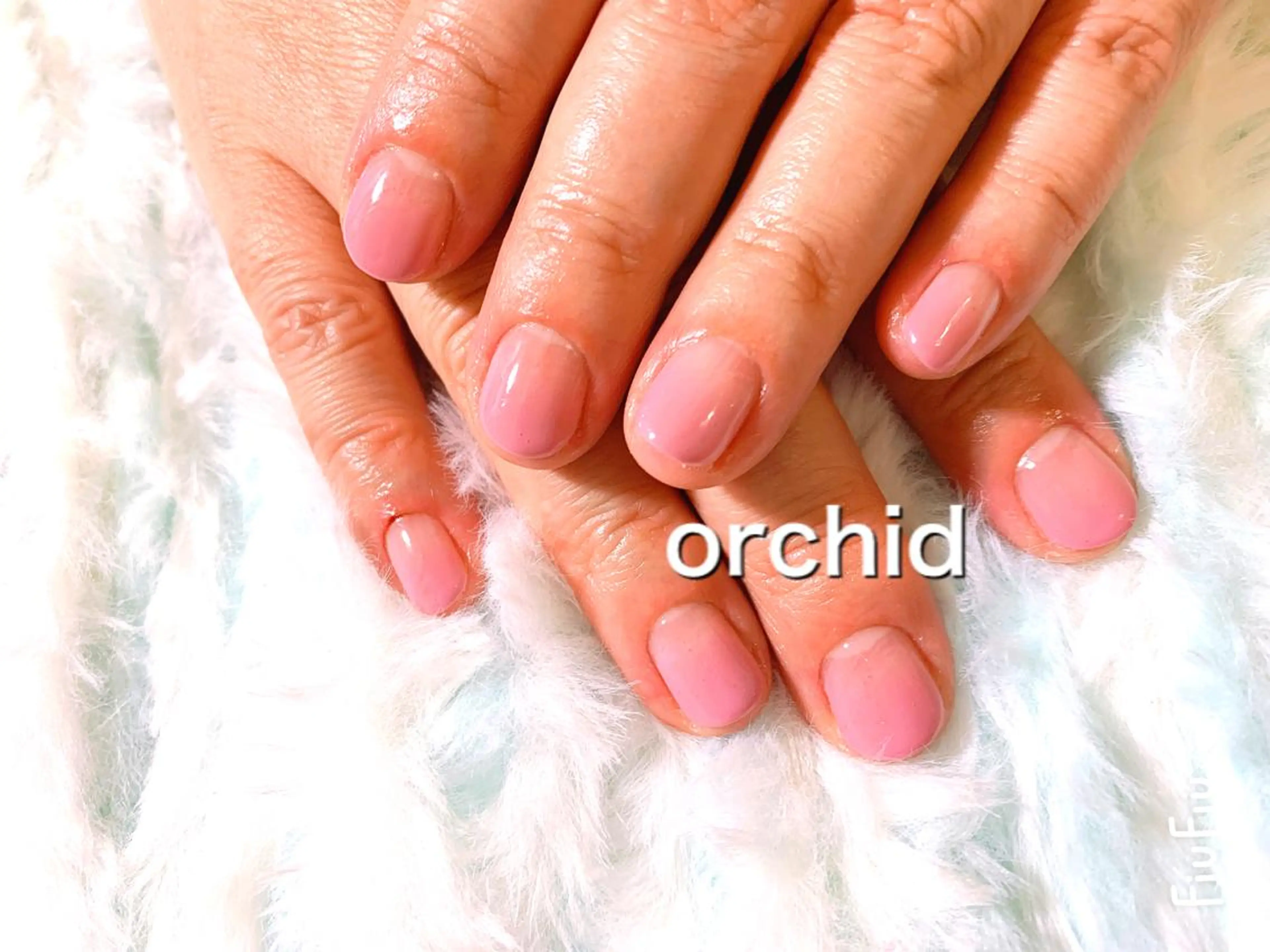 ネイル orchid ♡オーキッドのネイルデザイン
