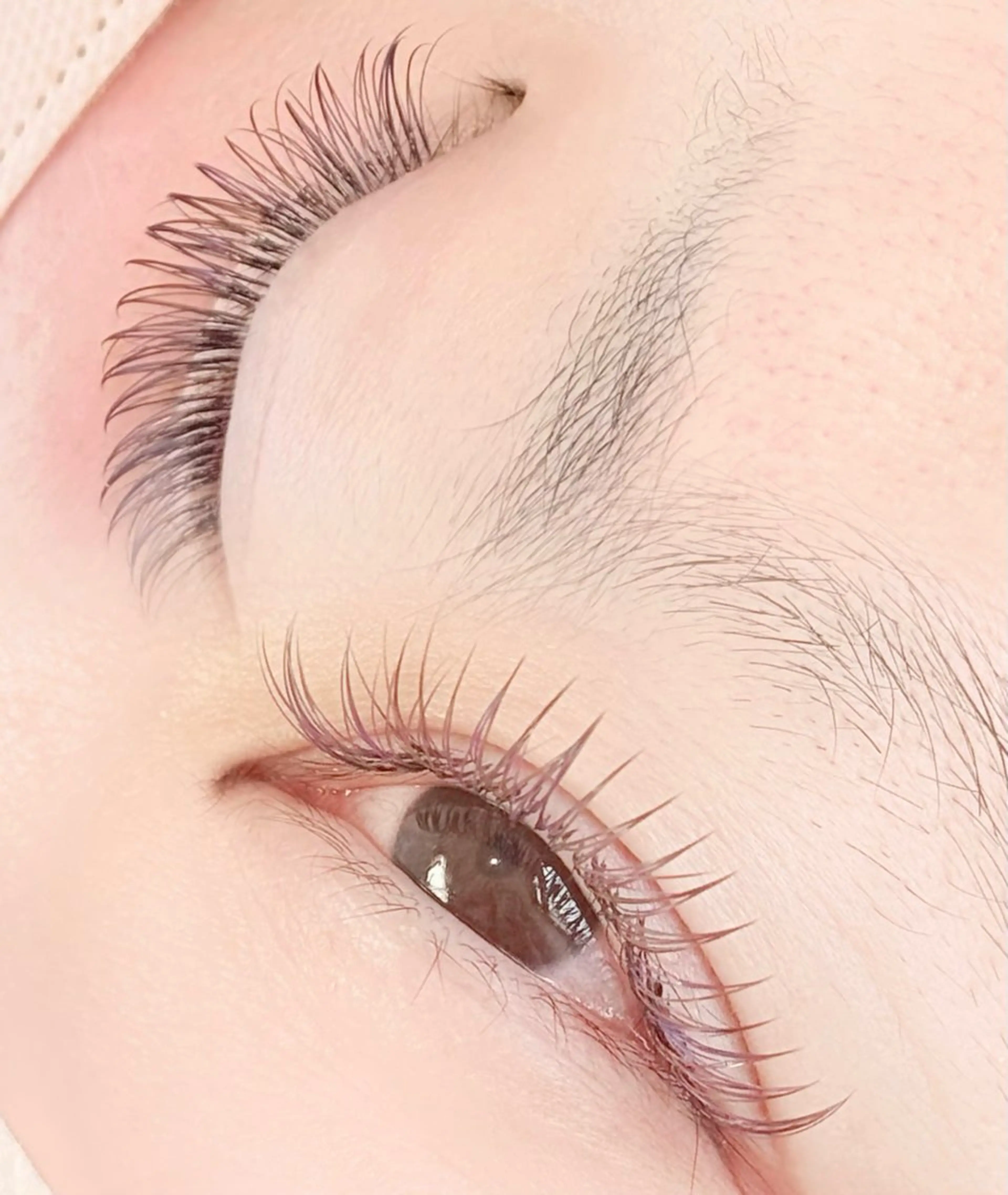 マツエク・マツパ カラーマツエク マツエク PROGRESS 龍ヶ崎 小泉🦋のマツエク・マツパデザイン