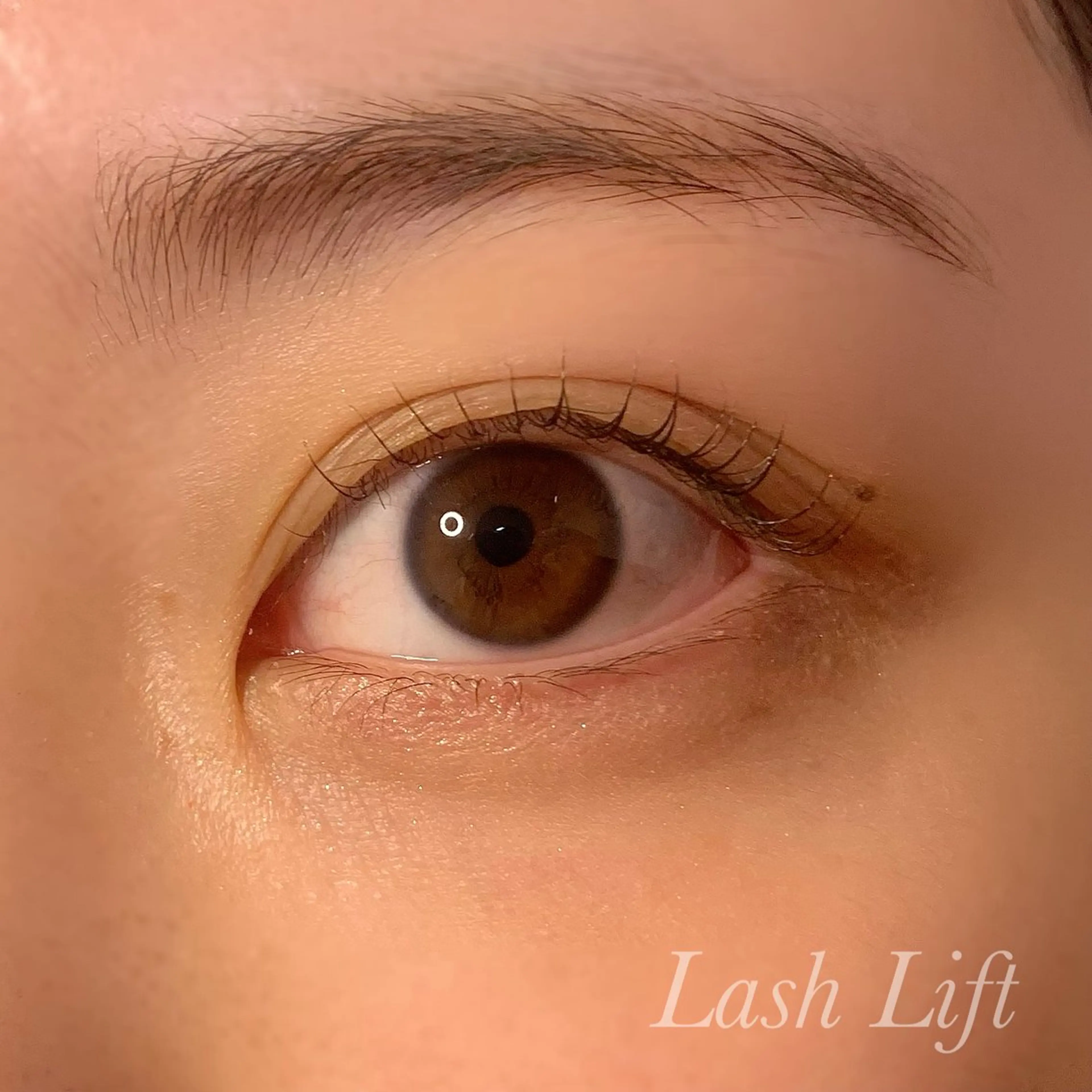 マツエク・マツパ まつげパーマ マツパ Ayumi.pro 🍆N《4階》のマツエク・マツパデザイン