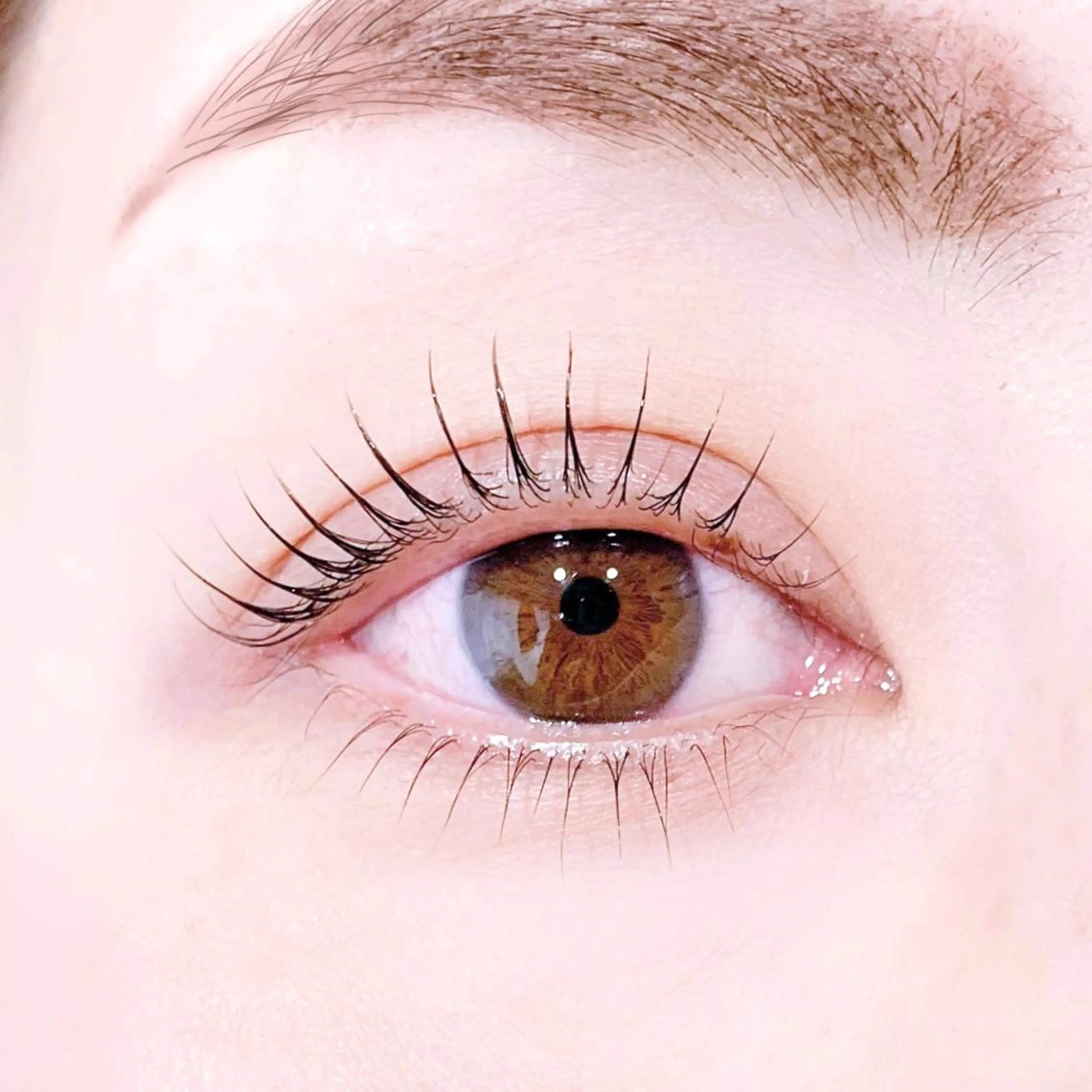 上下ラッシュリフト* 高持続・毛質改善トリートメント込み✨ ✨の写真