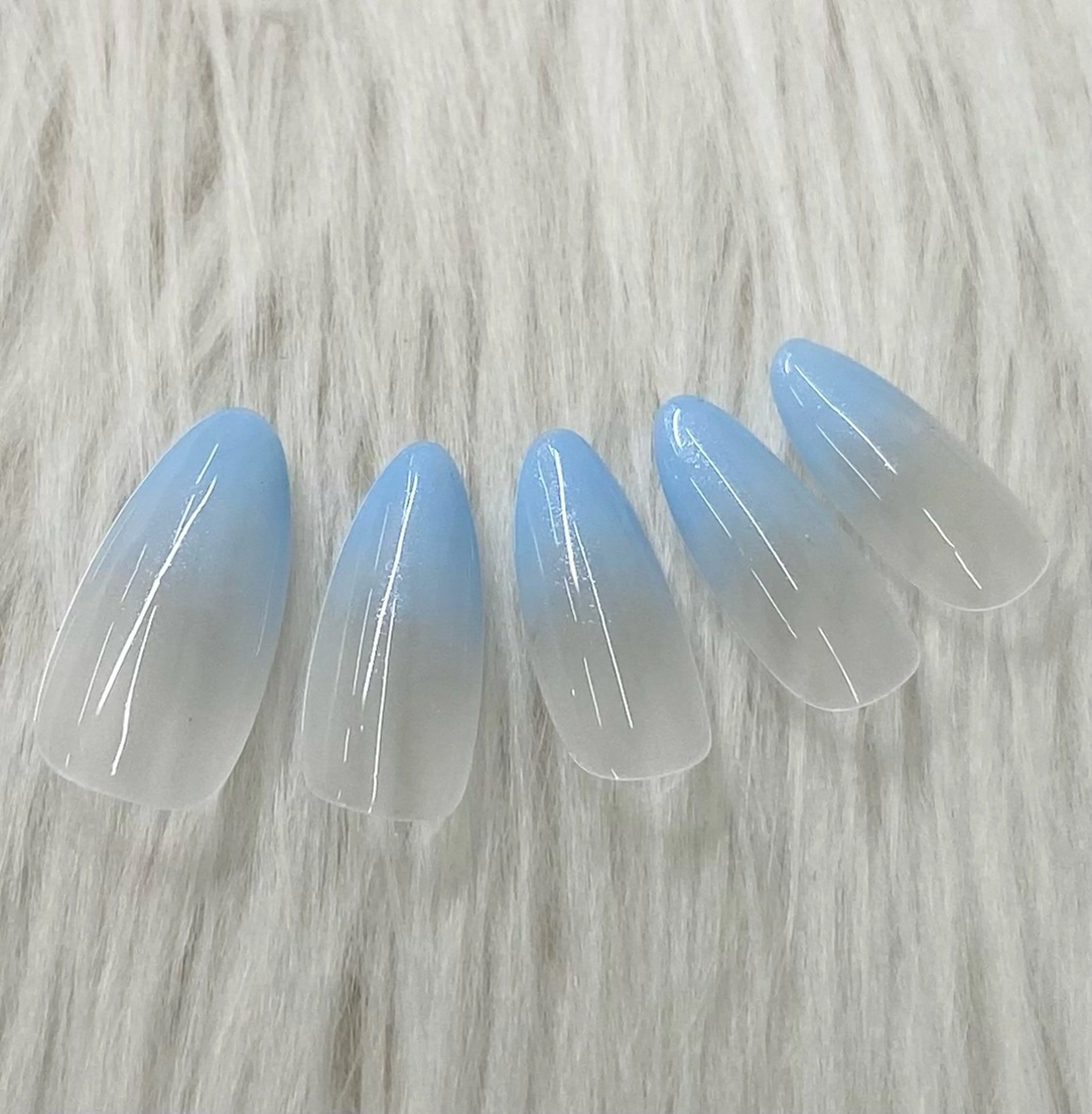 【ずっとオフ無料🎶】カラーグラデーションの写真