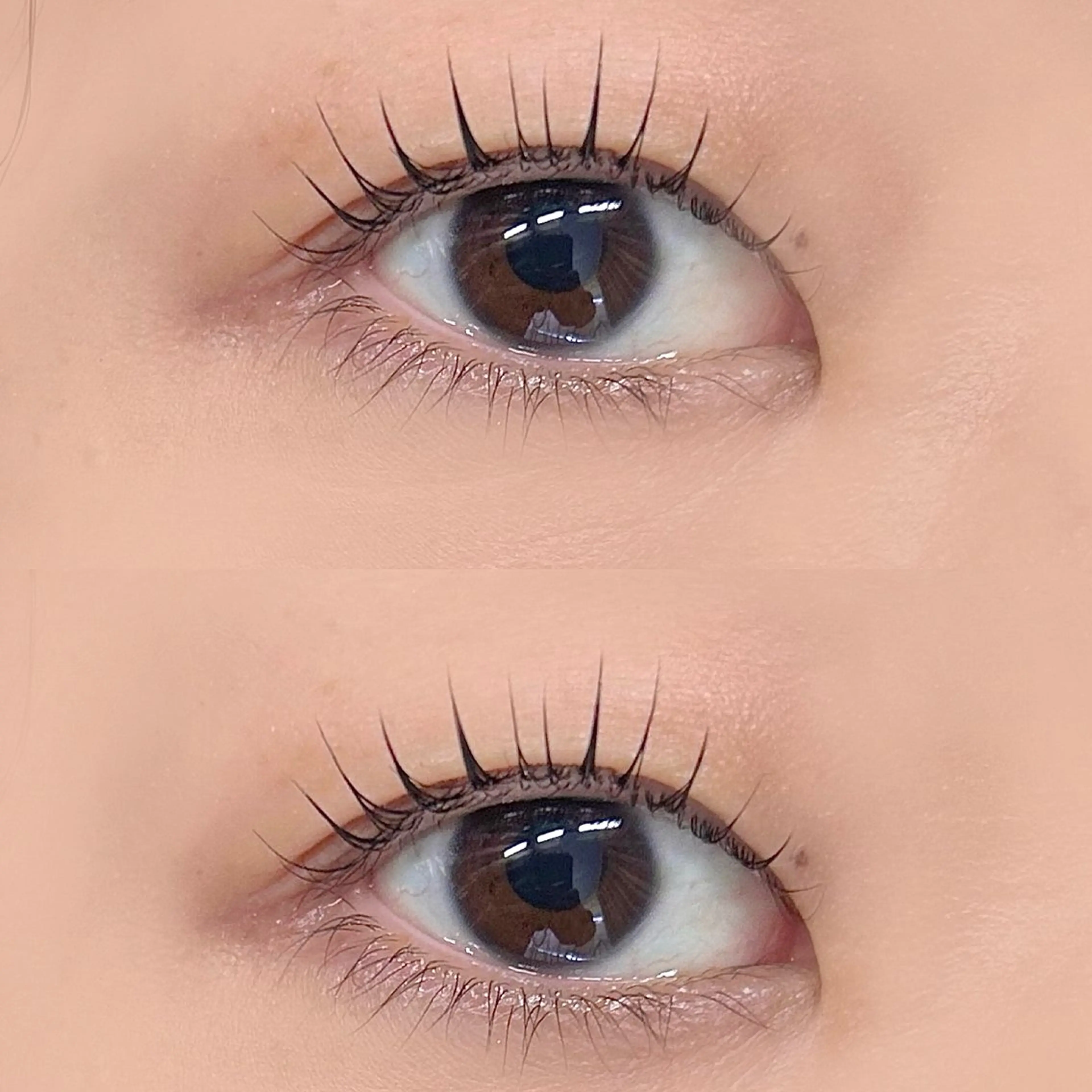 マツエク・マツパ 美眉/まつ毛 shuka🩶🎧の眉毛・アイブロウイメージ