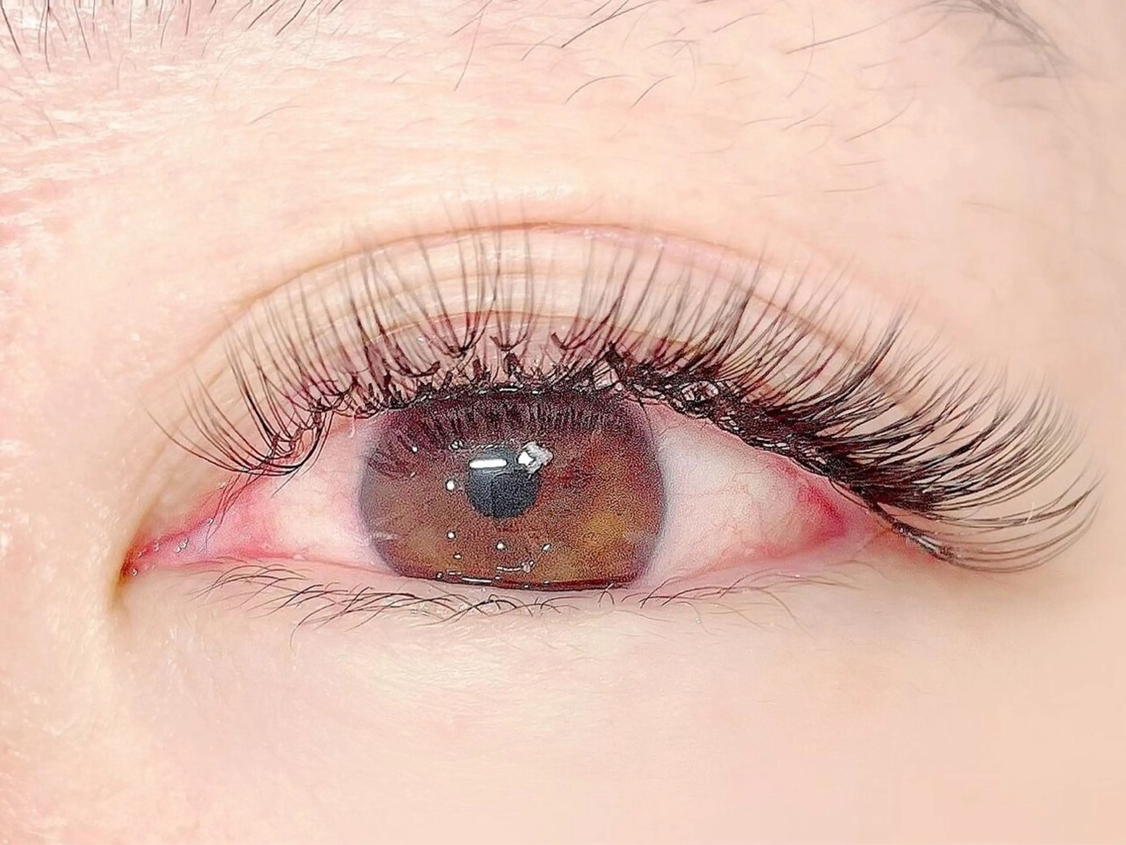 ボリュームラッシュ500本👀の写真