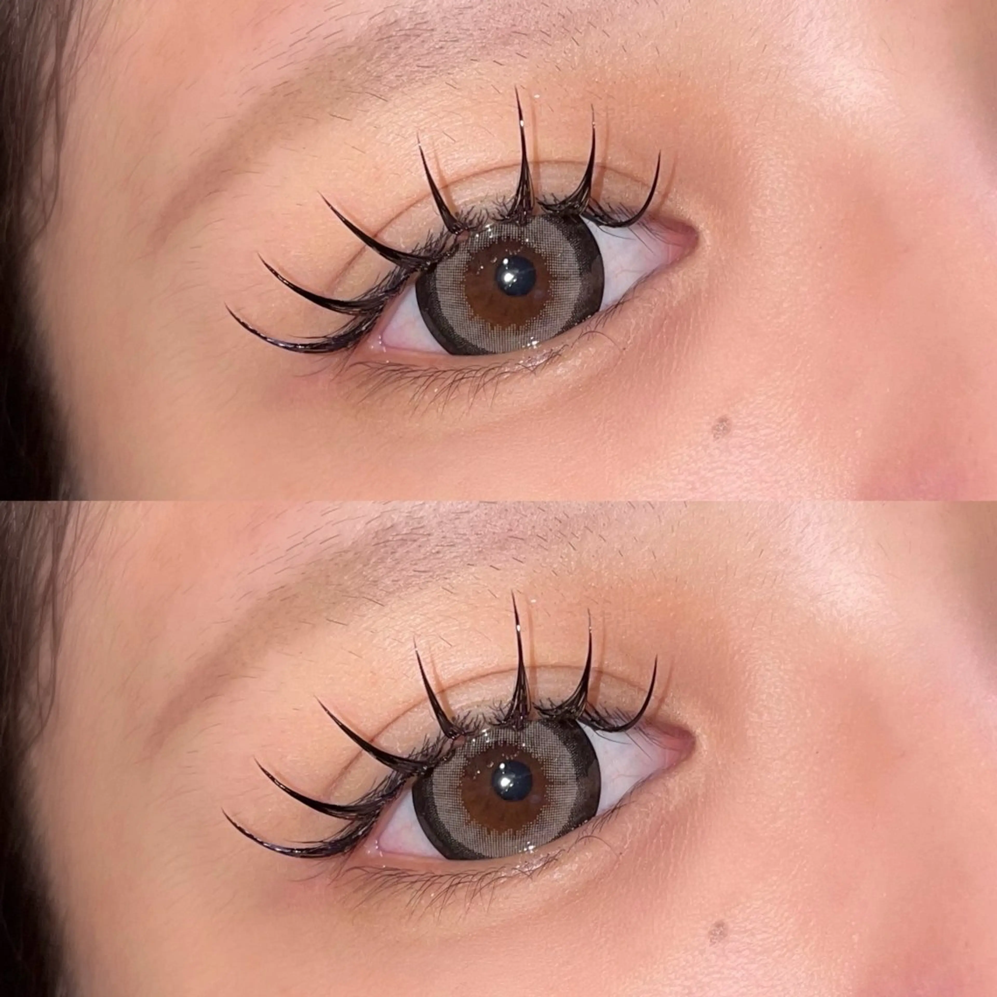 【撮影OKの方限定✨】LED×3Dラッシュ240本(80束)＋コーティング仕上げ 🪽の写真