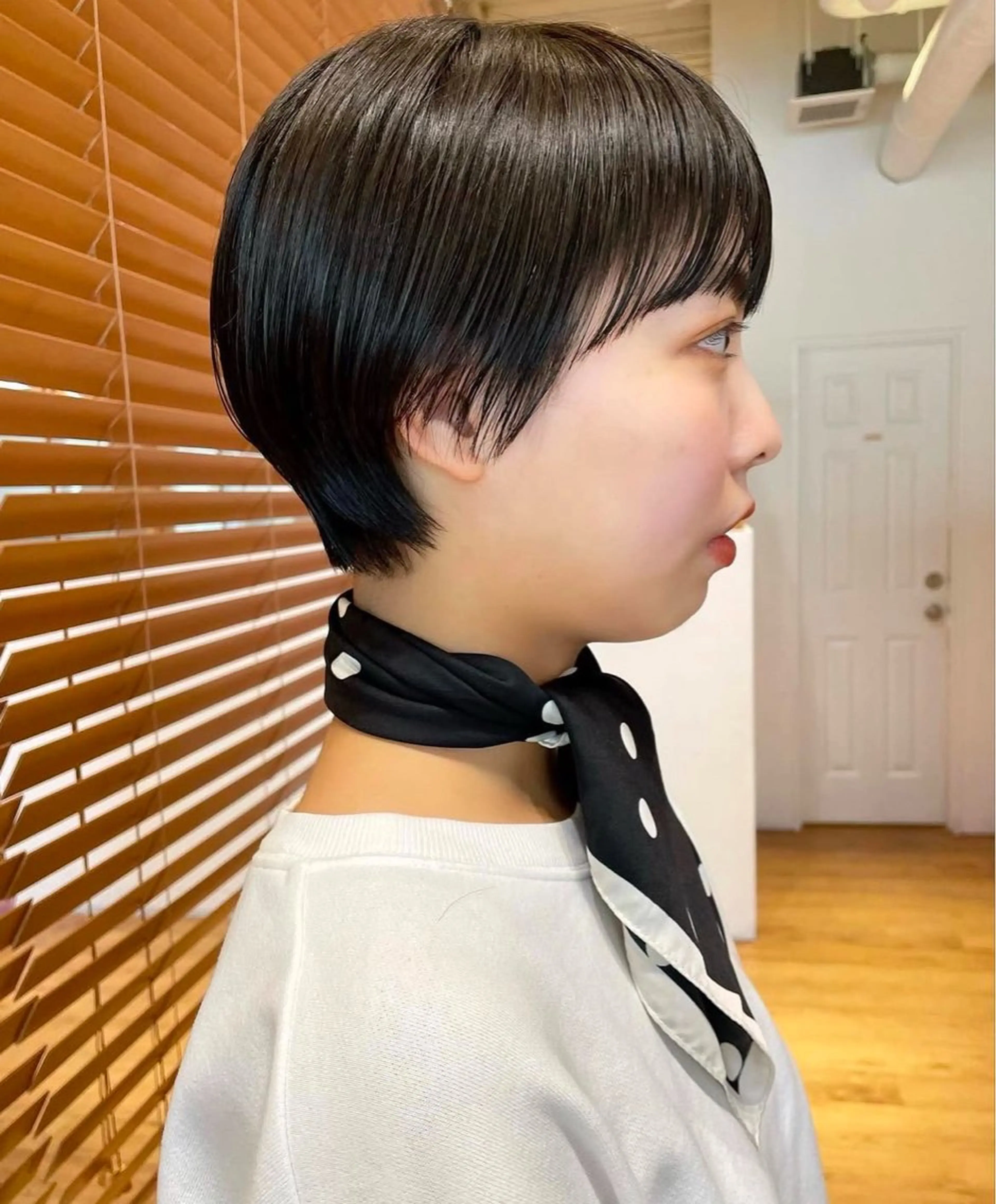 ショート 暖色カラー/似合わせ カット/名古屋/辻のヘアスタイル