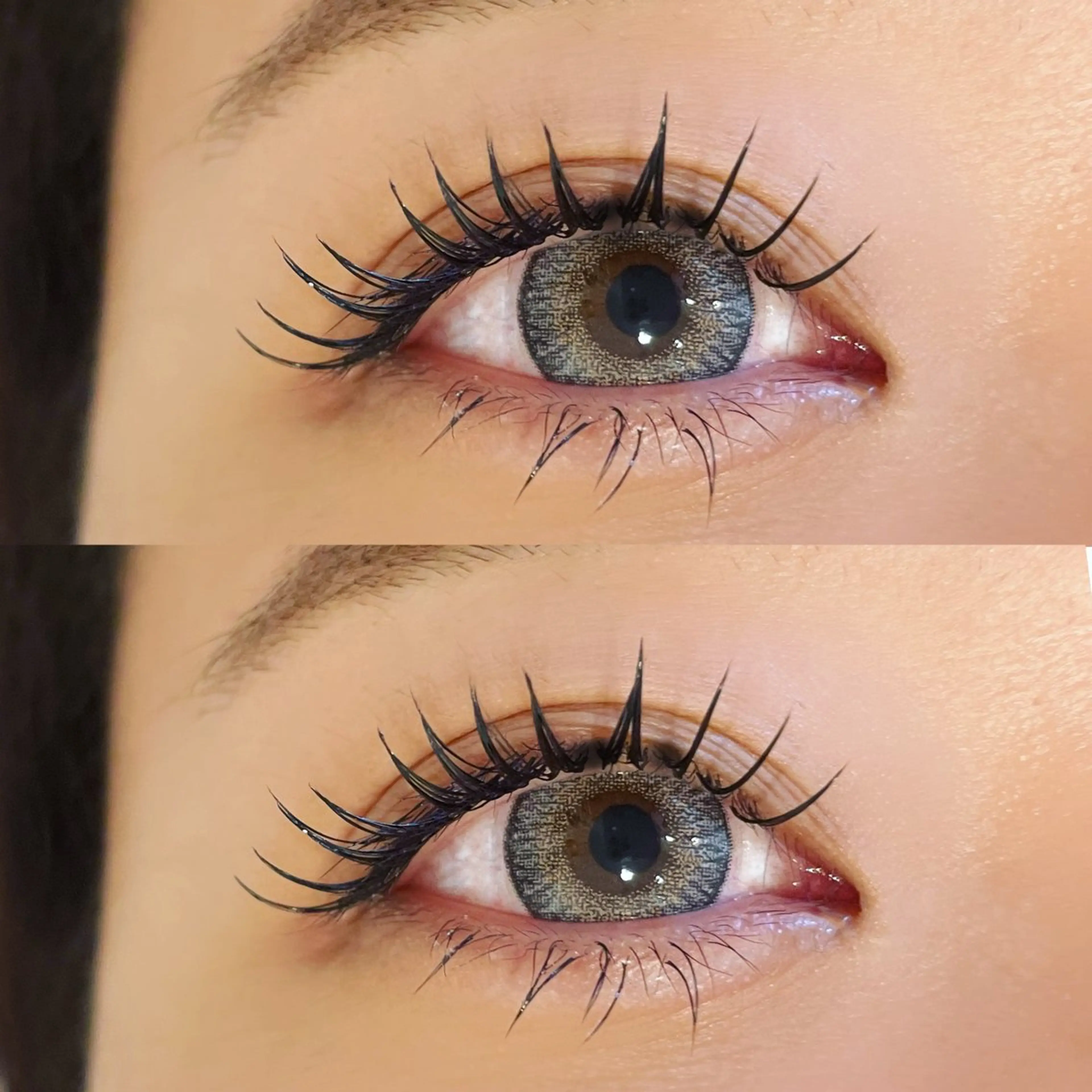 《新規》バインドロック80束の写真